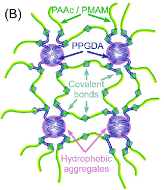 Chemical-structure-and-stretchability-of-a-hydrogel-A-Reaction-scheme-for-hydrogel_1.png