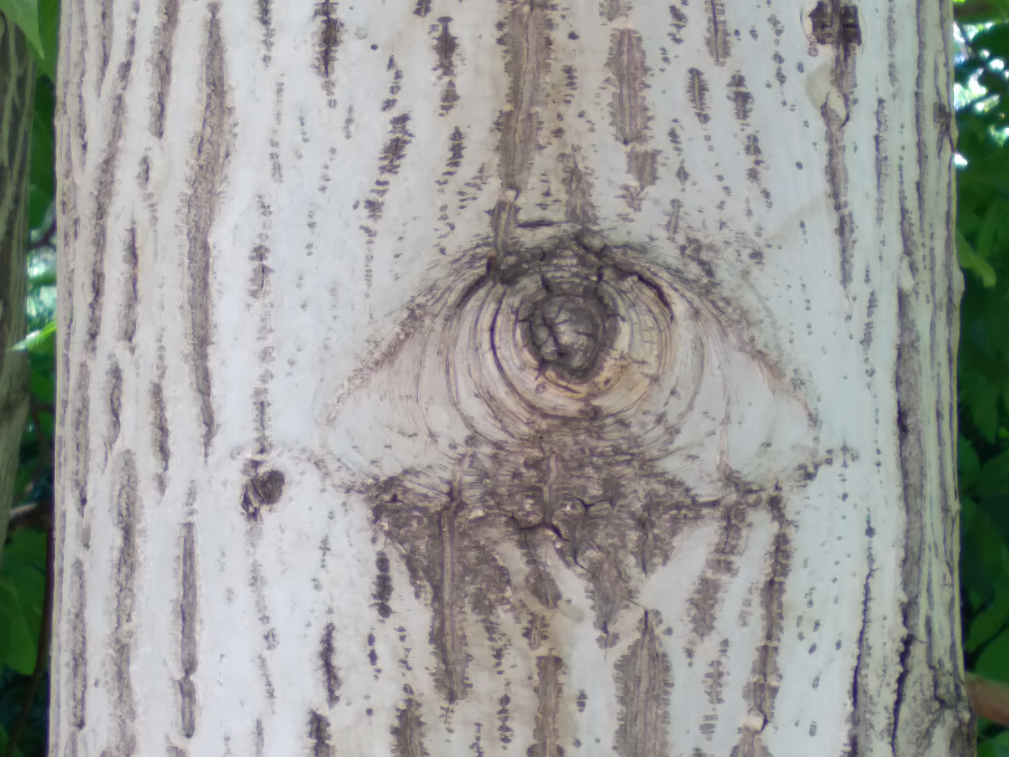 20250508_140547.jpg