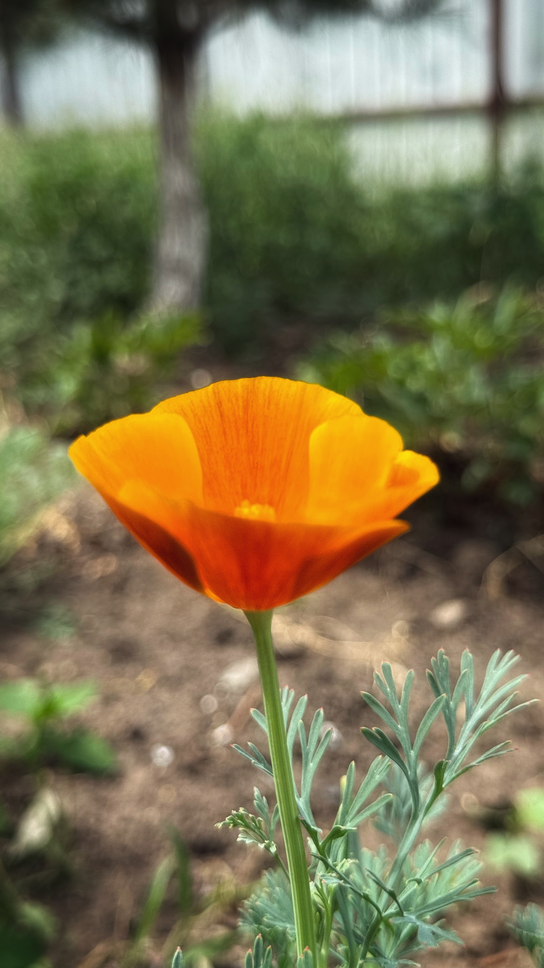IMG_3281.jpeg