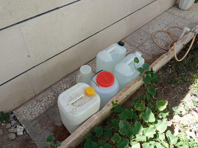 1145 + watering the Tughs with Mandal Samaneh Danesh + HBD breakfast + Mahoora + 3StepN S