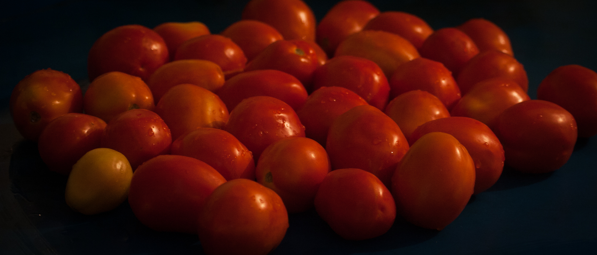 Recetas #46 🍅Salsa de tomates. Pollo a la parmesana. 🍅Recipes # 46 Tomato sauce