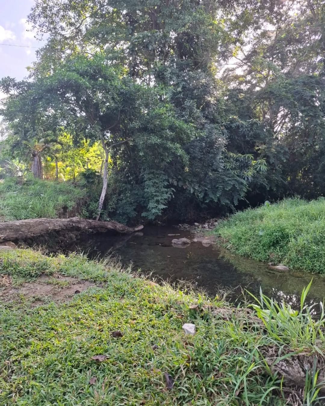 arroyo 2.jpg
