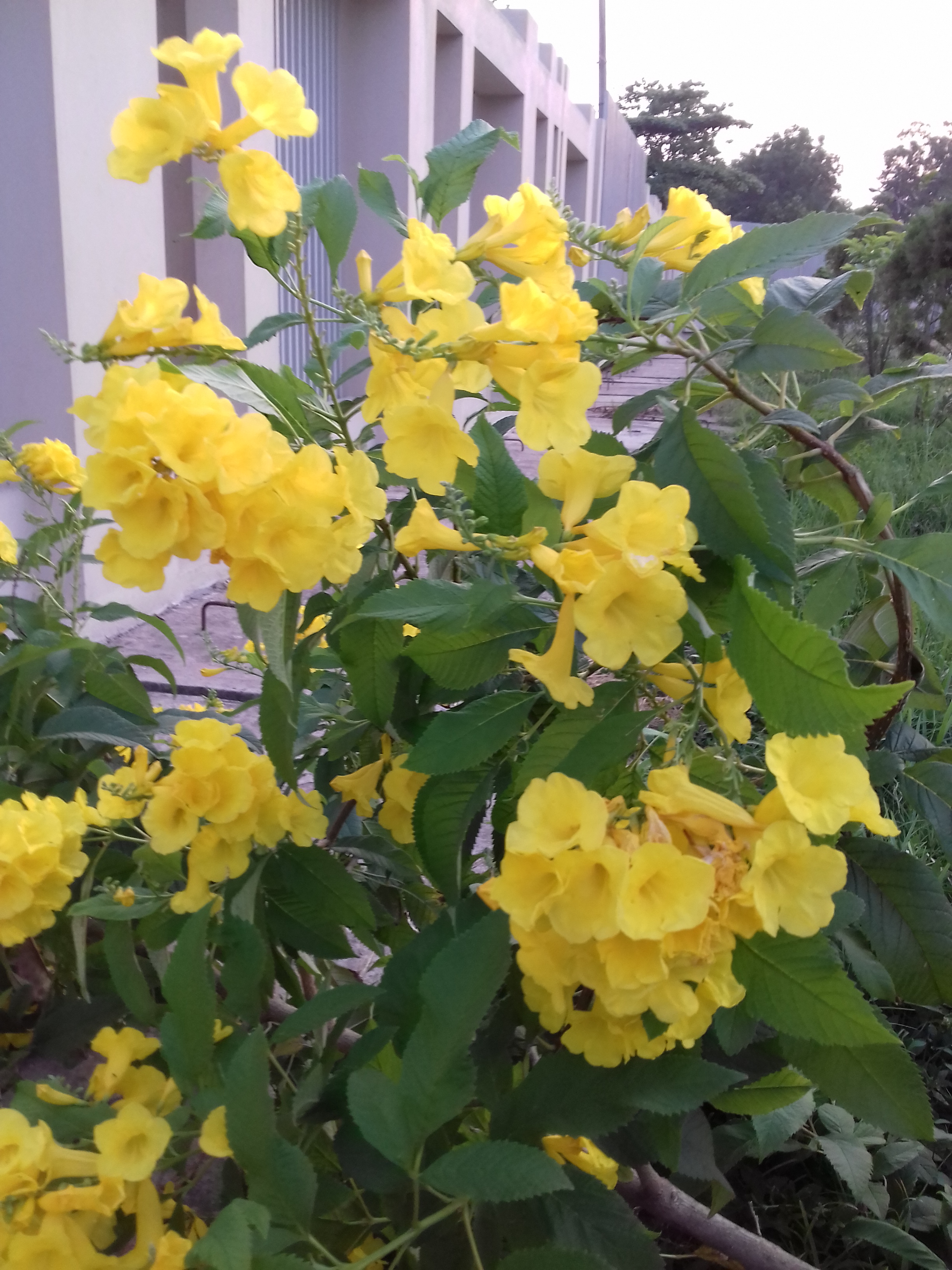 20190506_175820.jpg