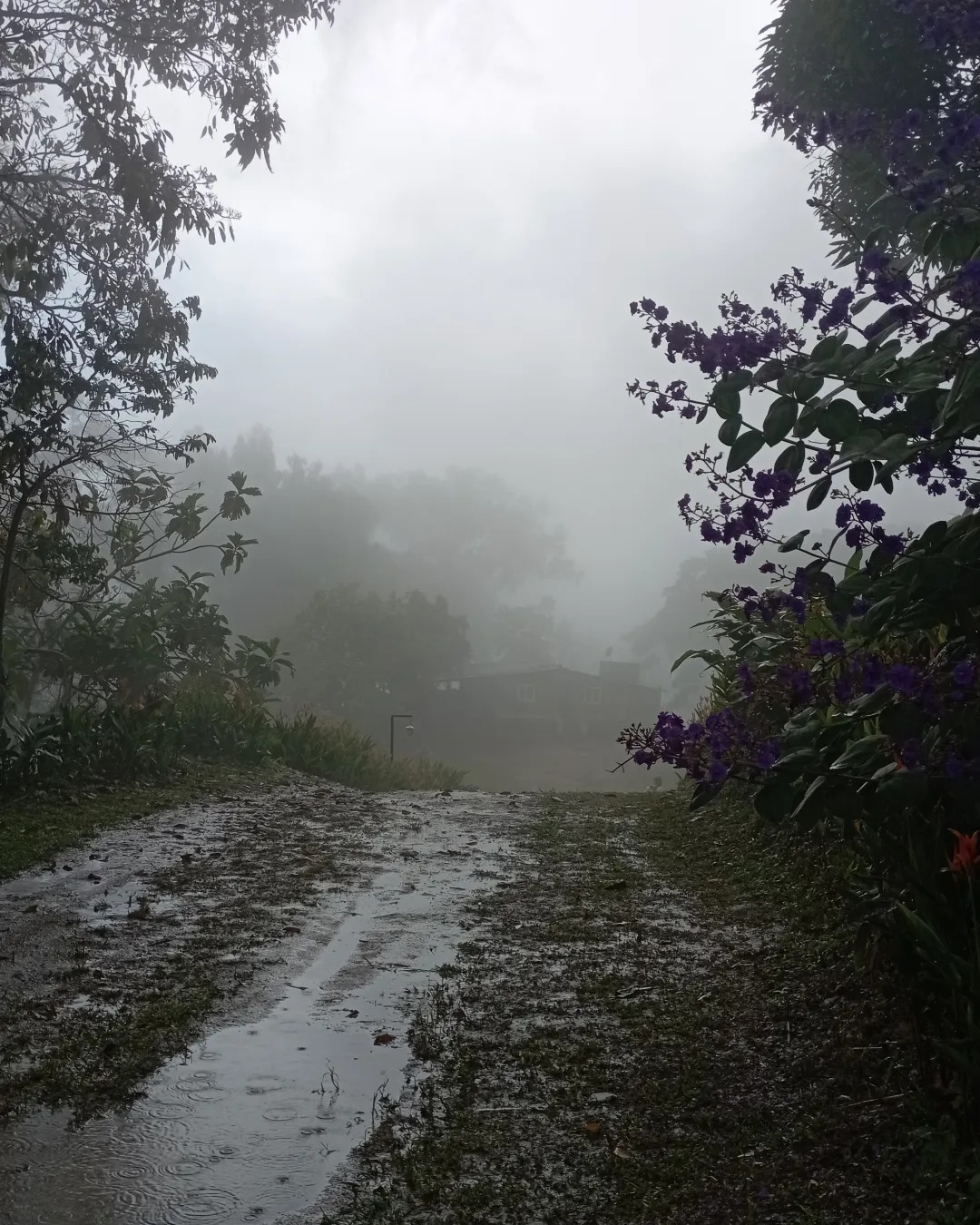 finca la pantalla, en cocorote 1.jpg