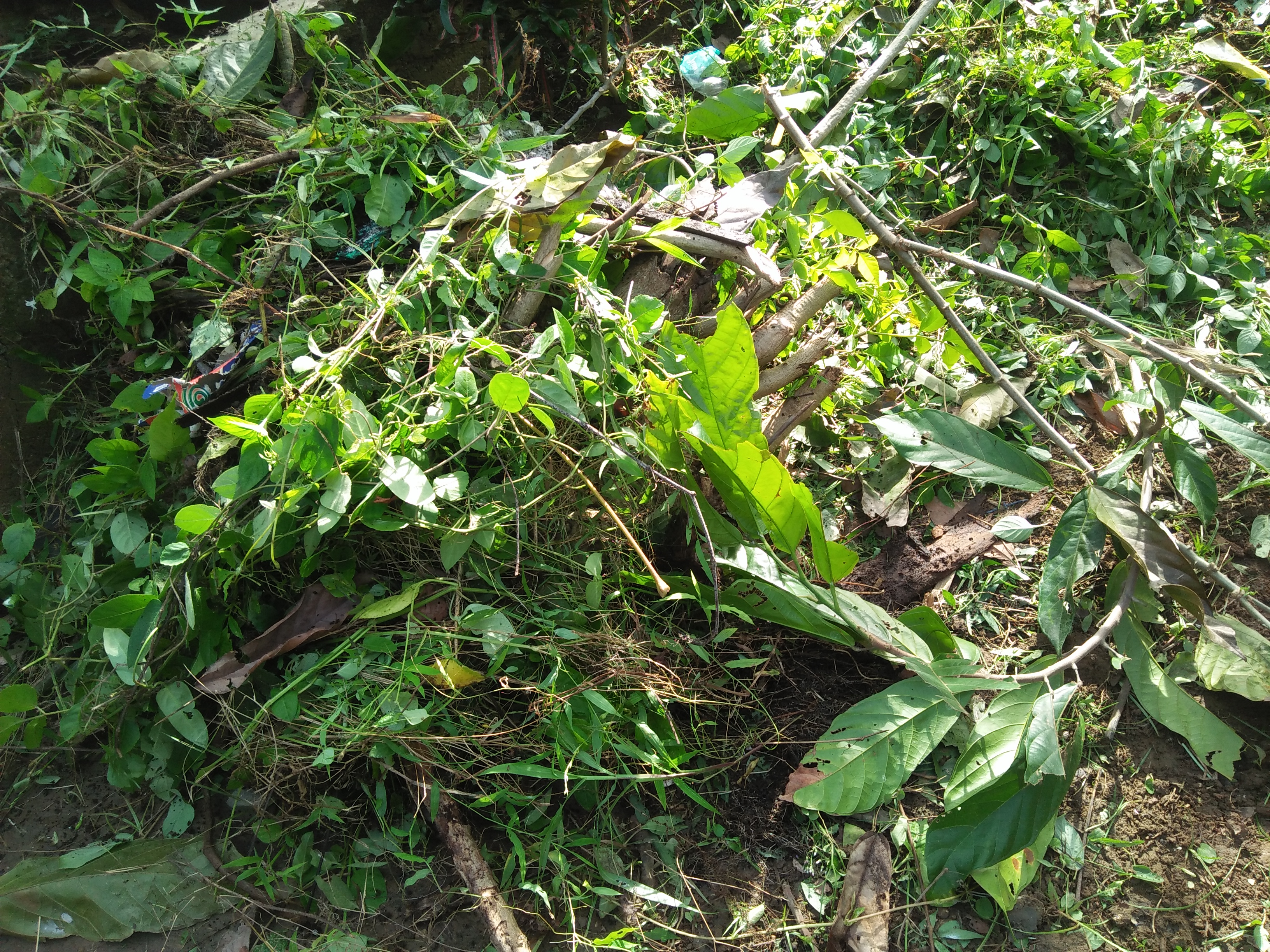 IMG20250129155500.jpg