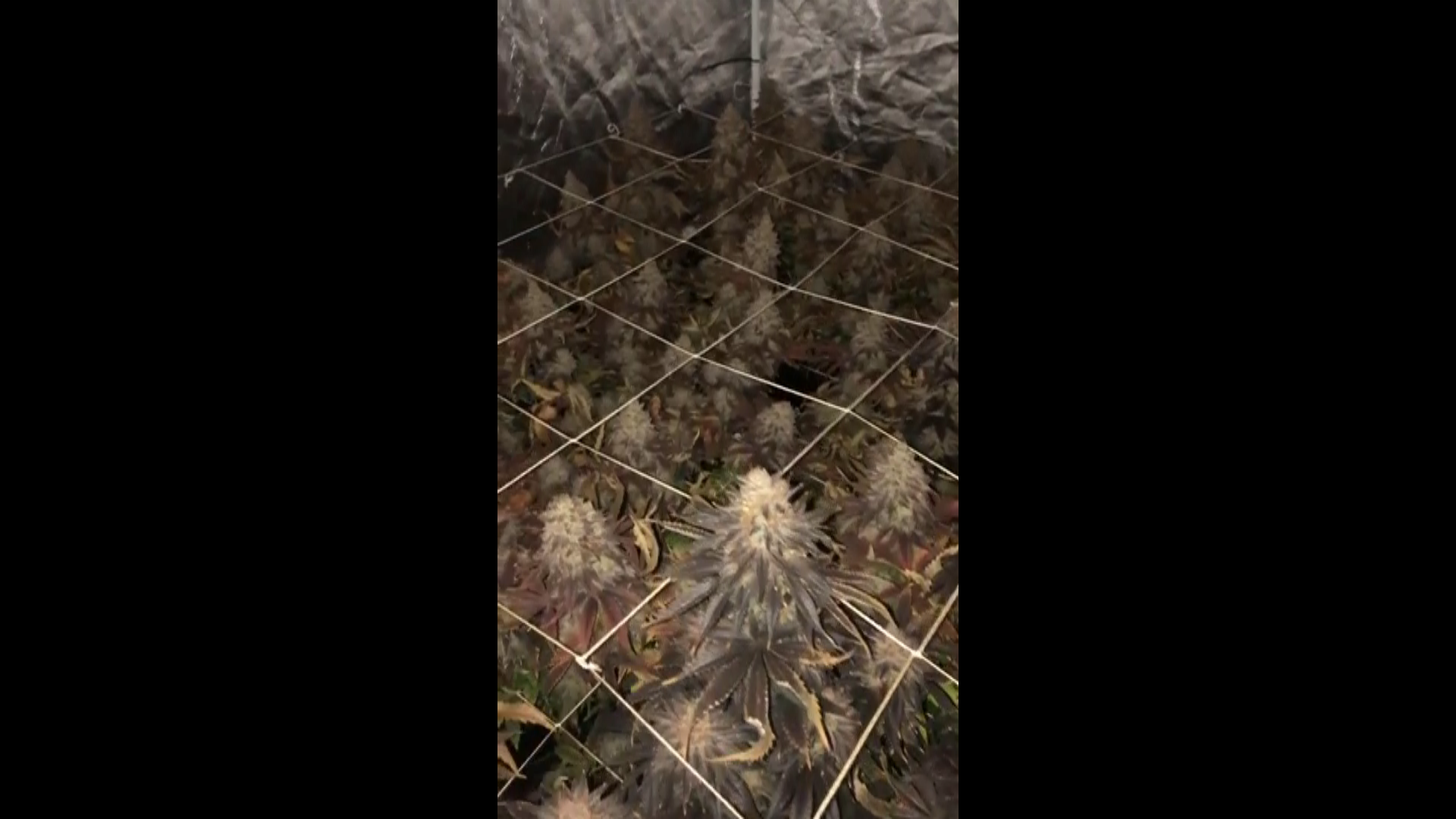Screenshot (108).png