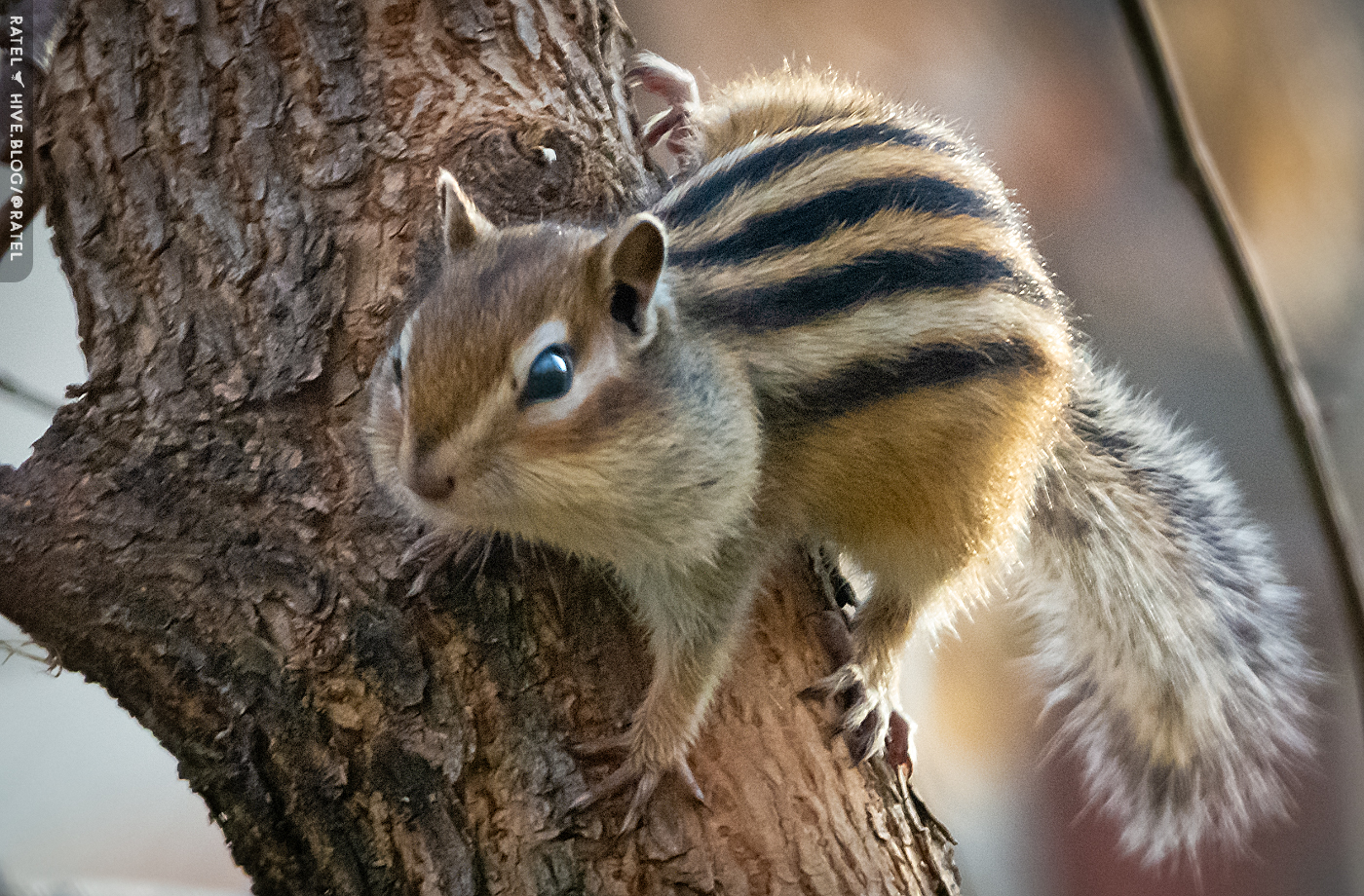 DSC_2089.jpg