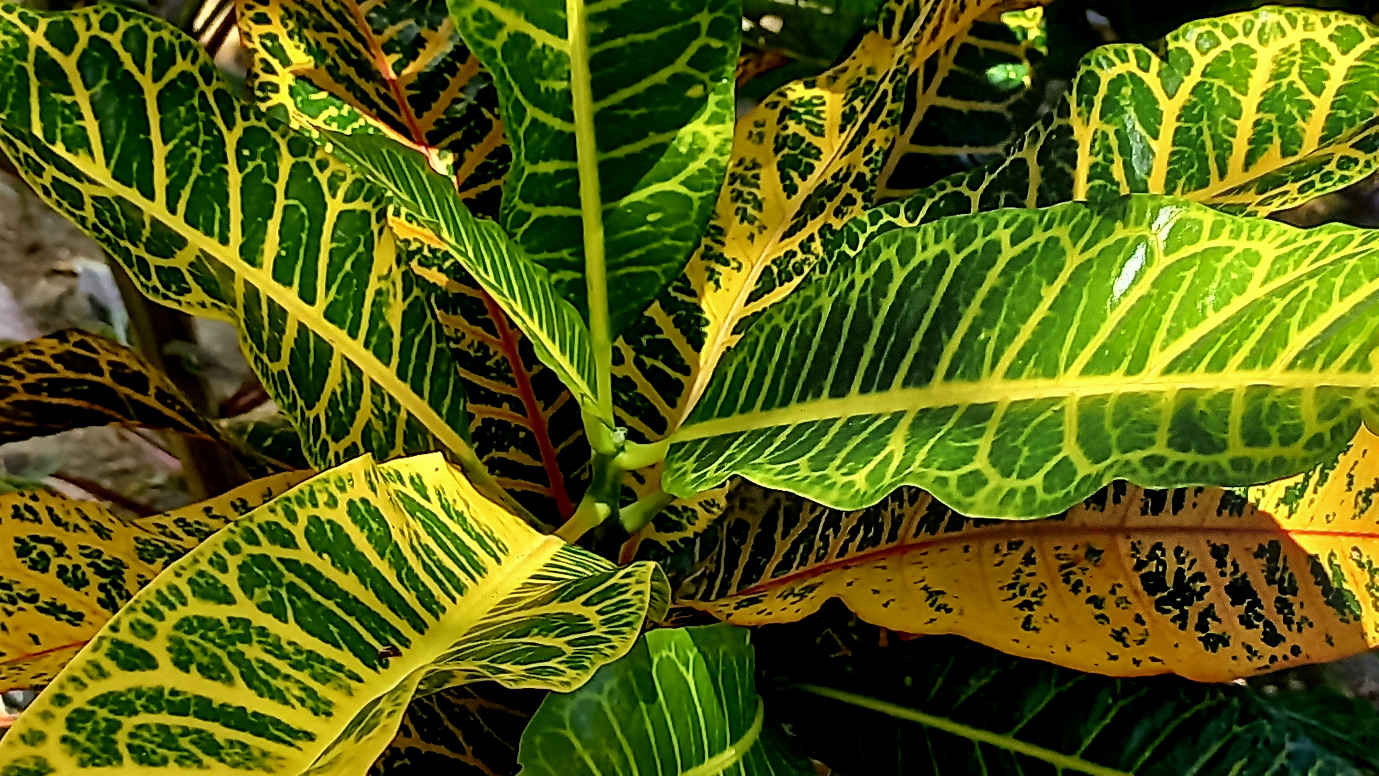 20250817_121957.jpg