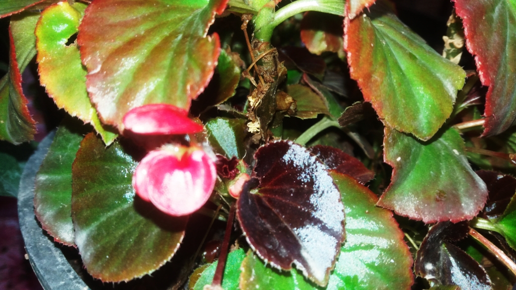 CYMERA_20201113_123436.jpg