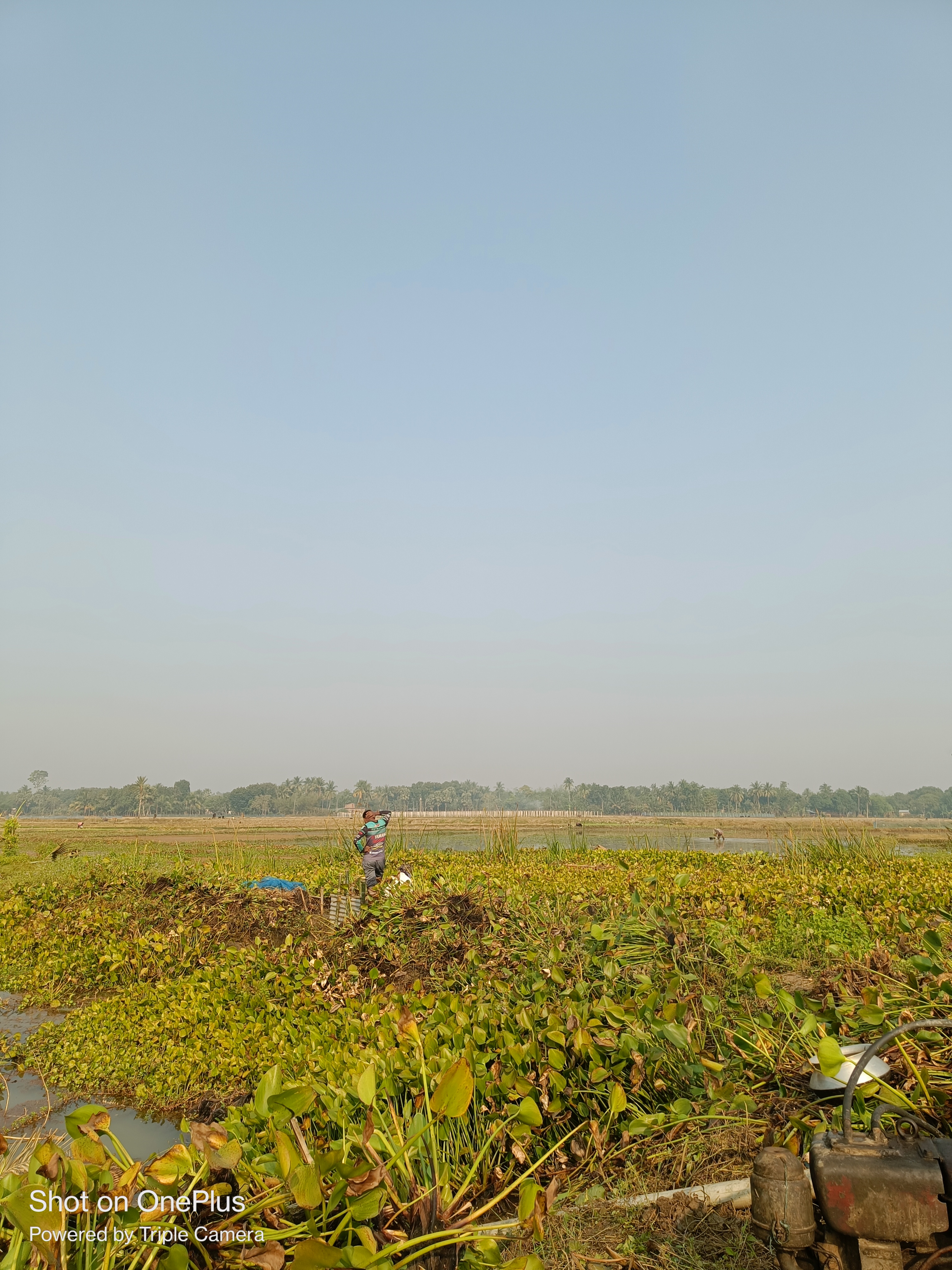 IMG20241226093338.jpg