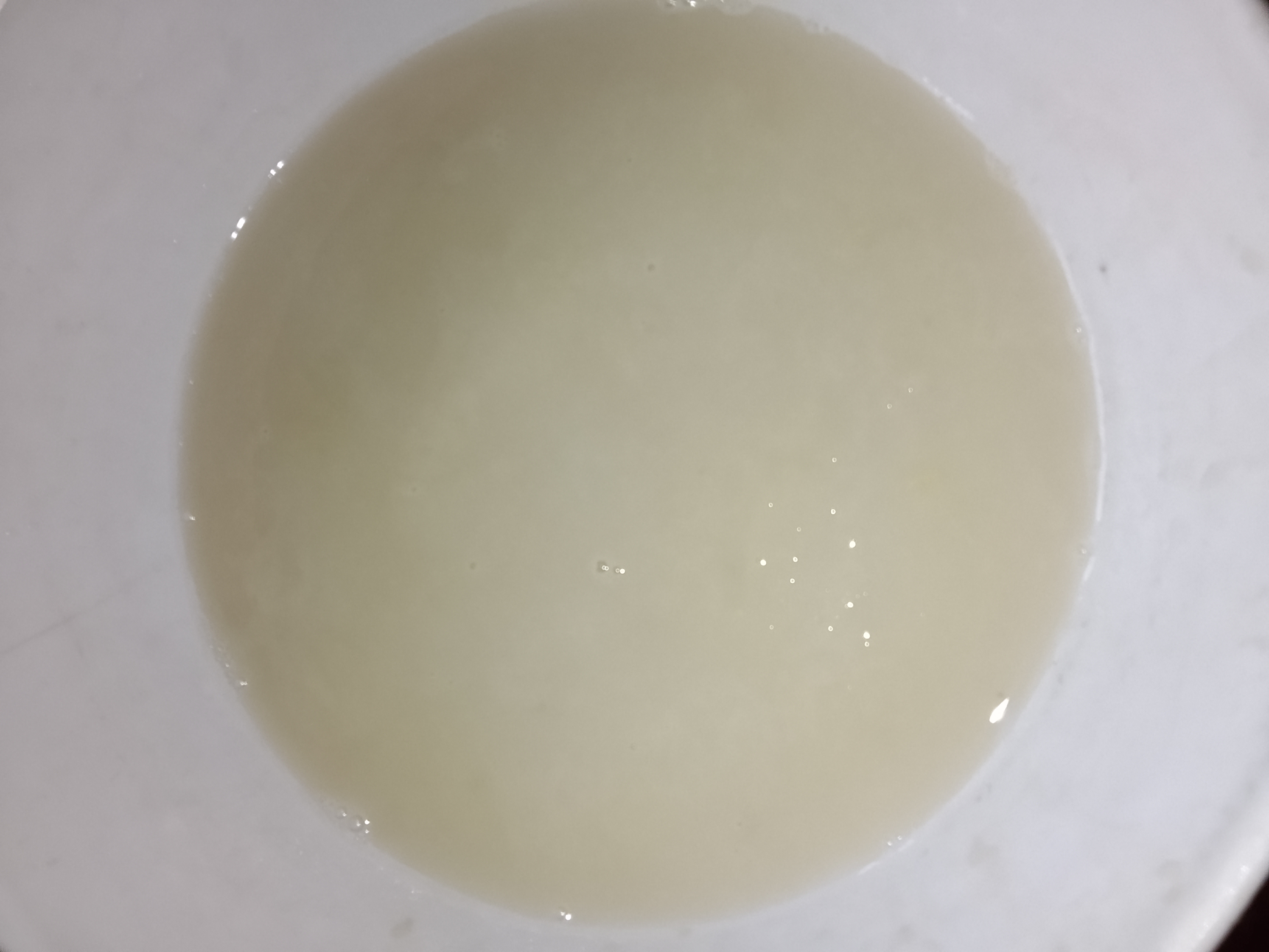 IMG_20250519_130518.jpg