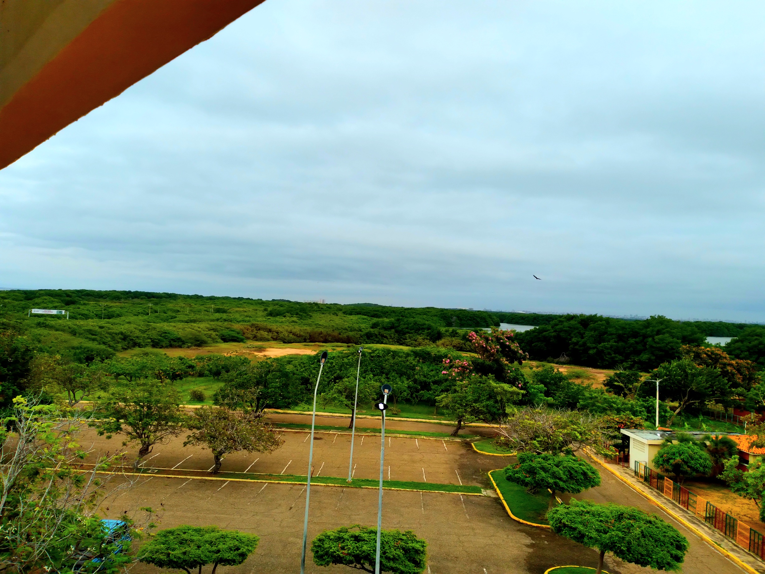 20250426_101202.jpg