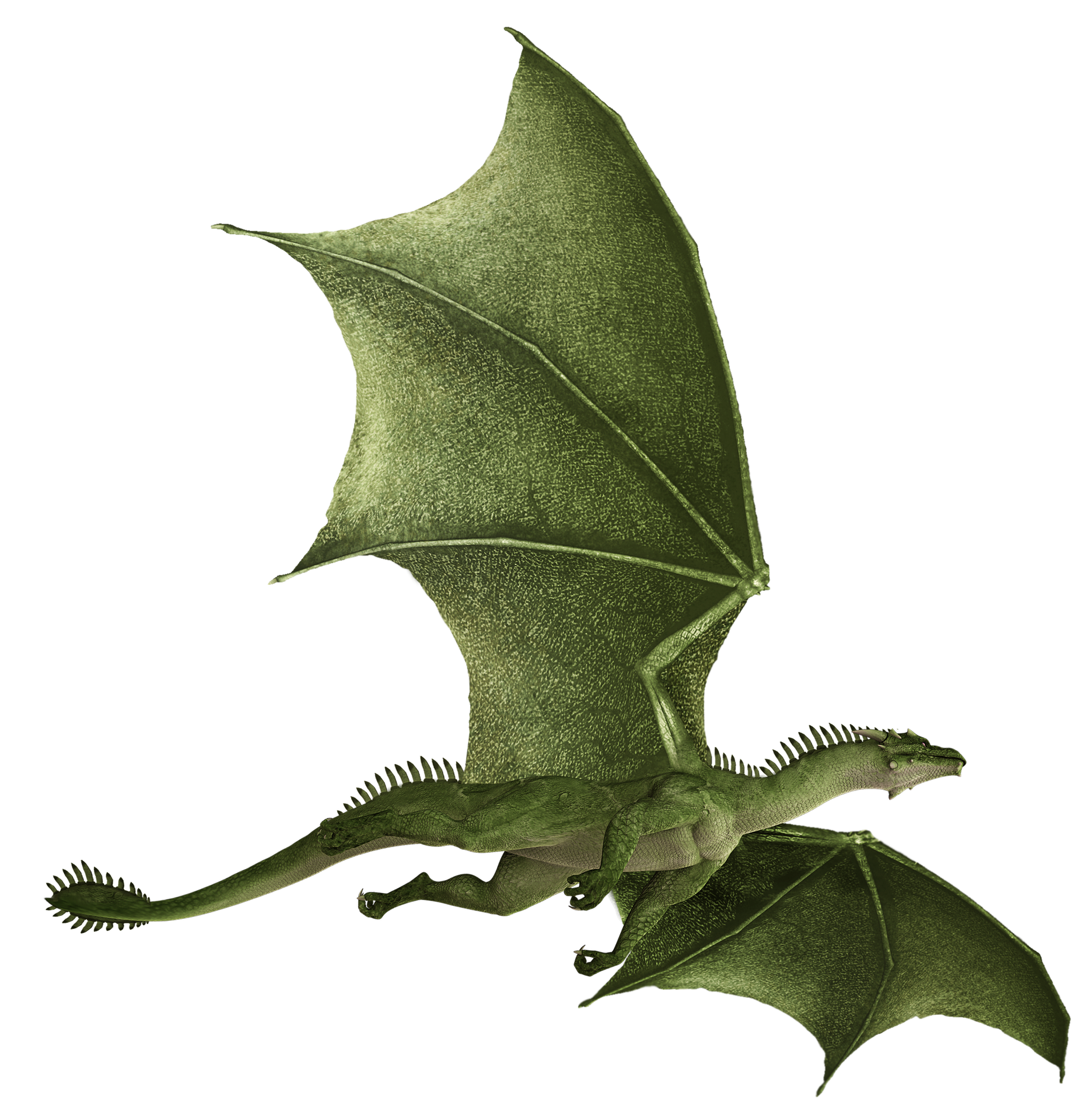 dragon-g5aa3c8ff9_1920.png