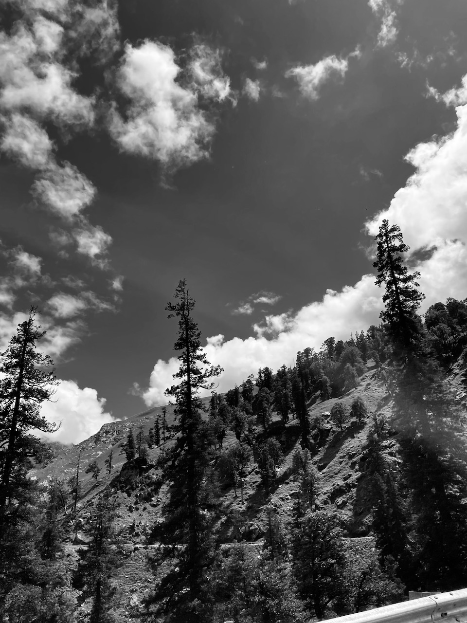 IMG_5238.jpeg