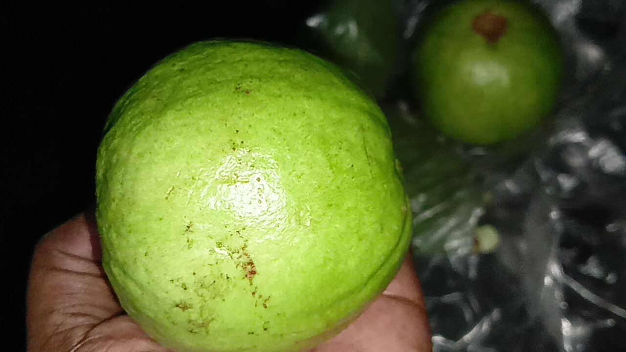 IMG20250818150437_01.jpg