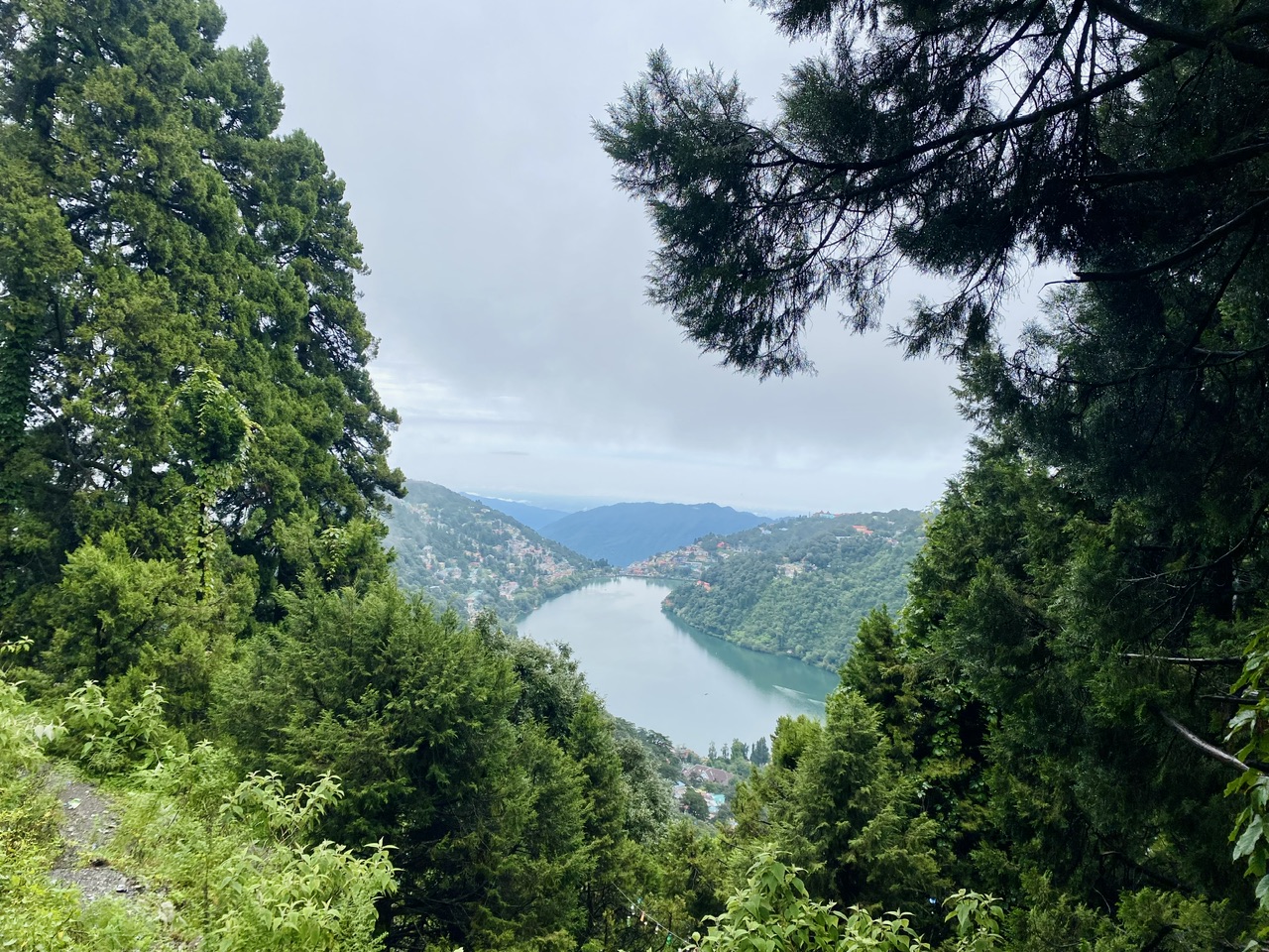 IMG_0769.jpeg