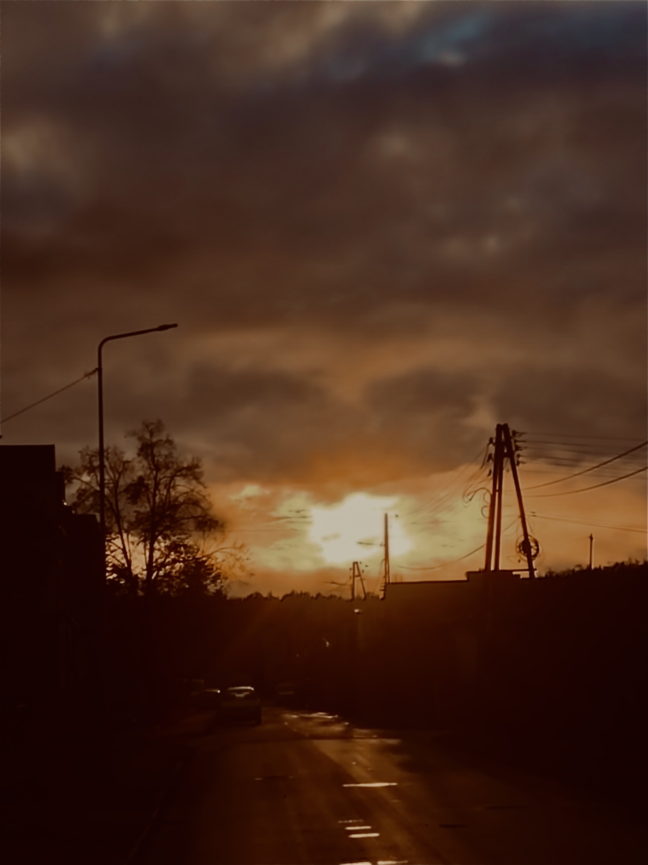IMG_3378.jpeg