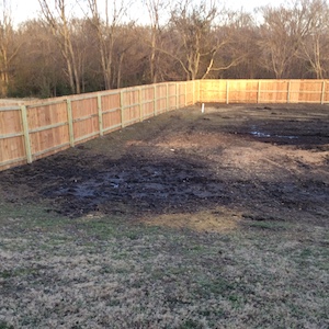 fence.JPG