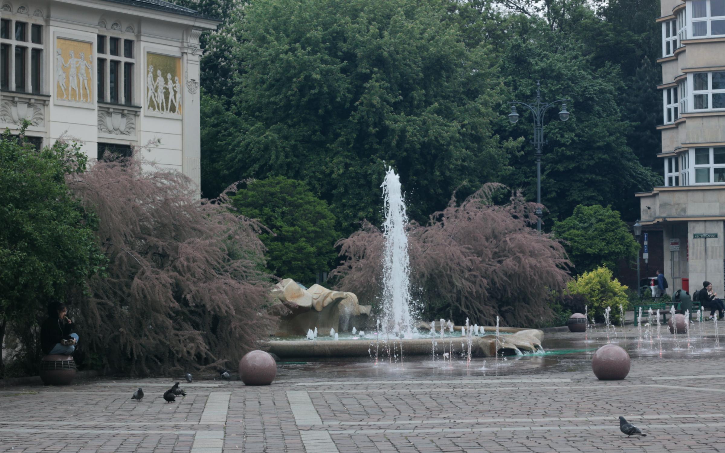 IMG_7169-crop.JPG