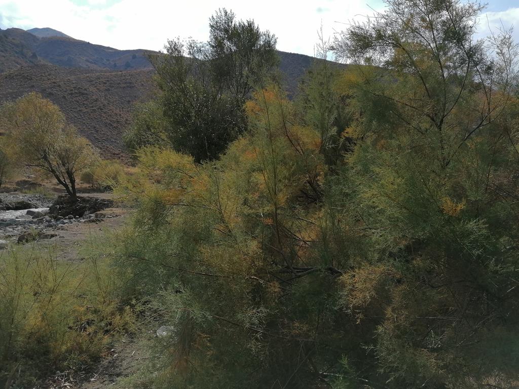 IMG_20231020_130003.jpg