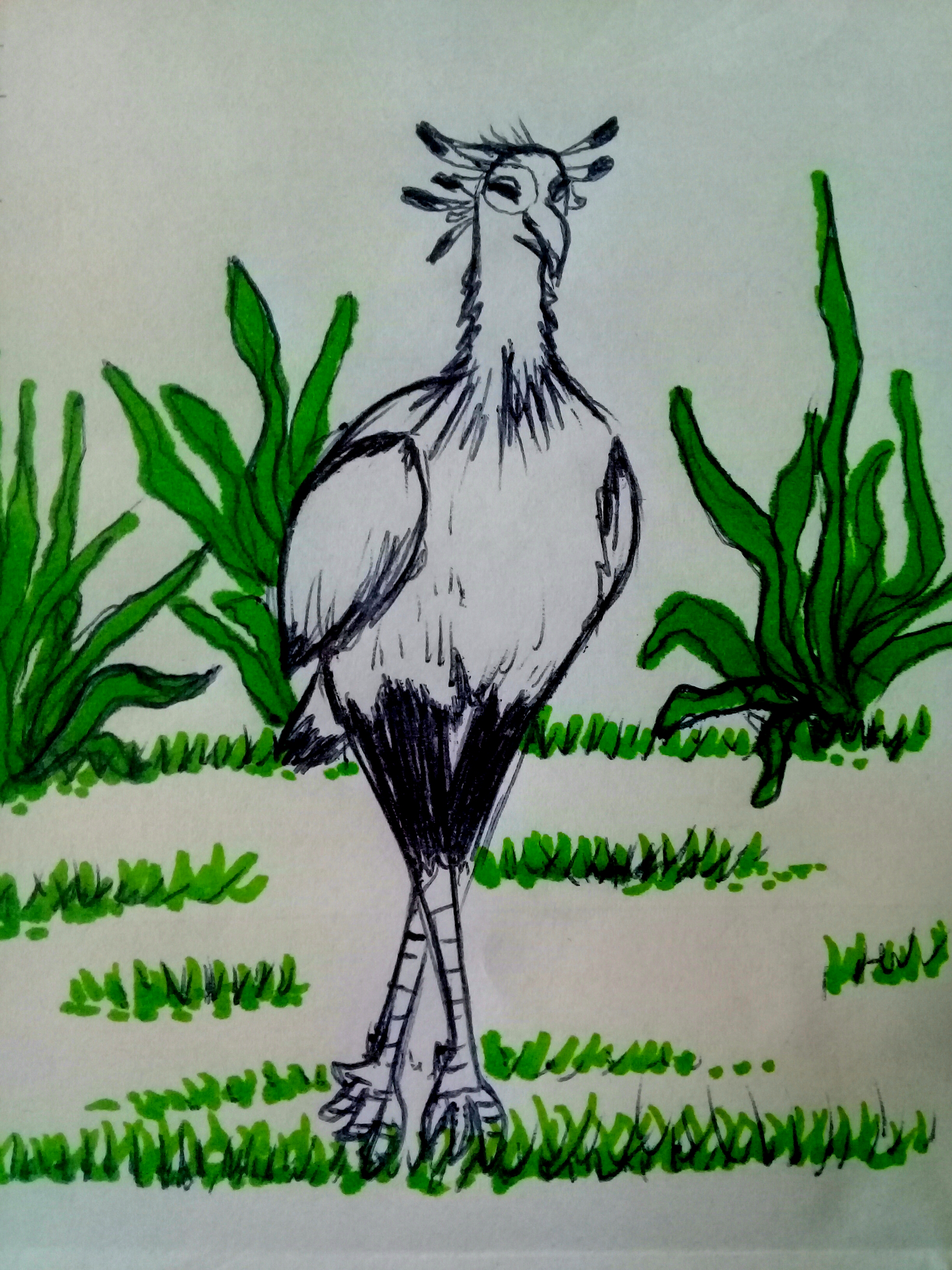 20201208_093158.jpg