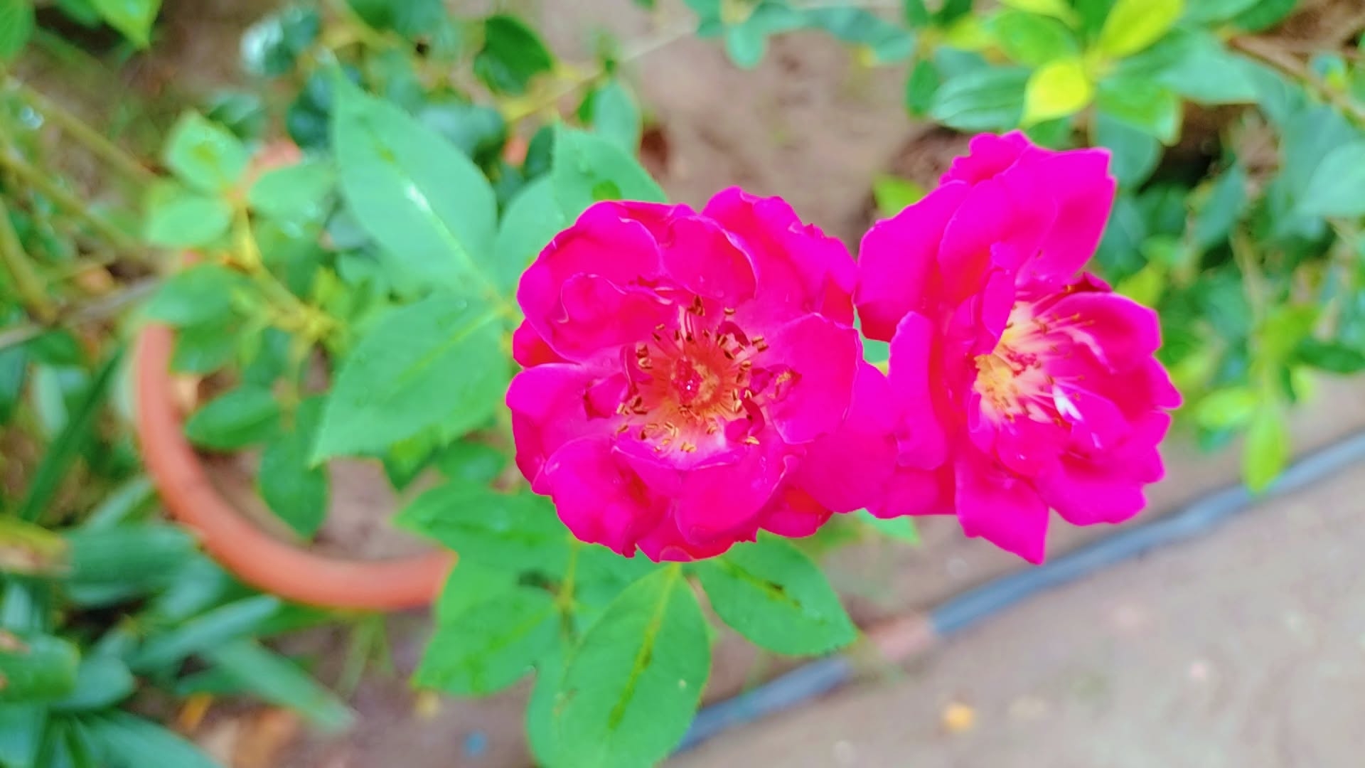 IMG_20250804_235652.jpg