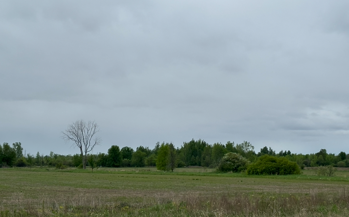 Actifit Weather Report : A cloudy rainy day up North