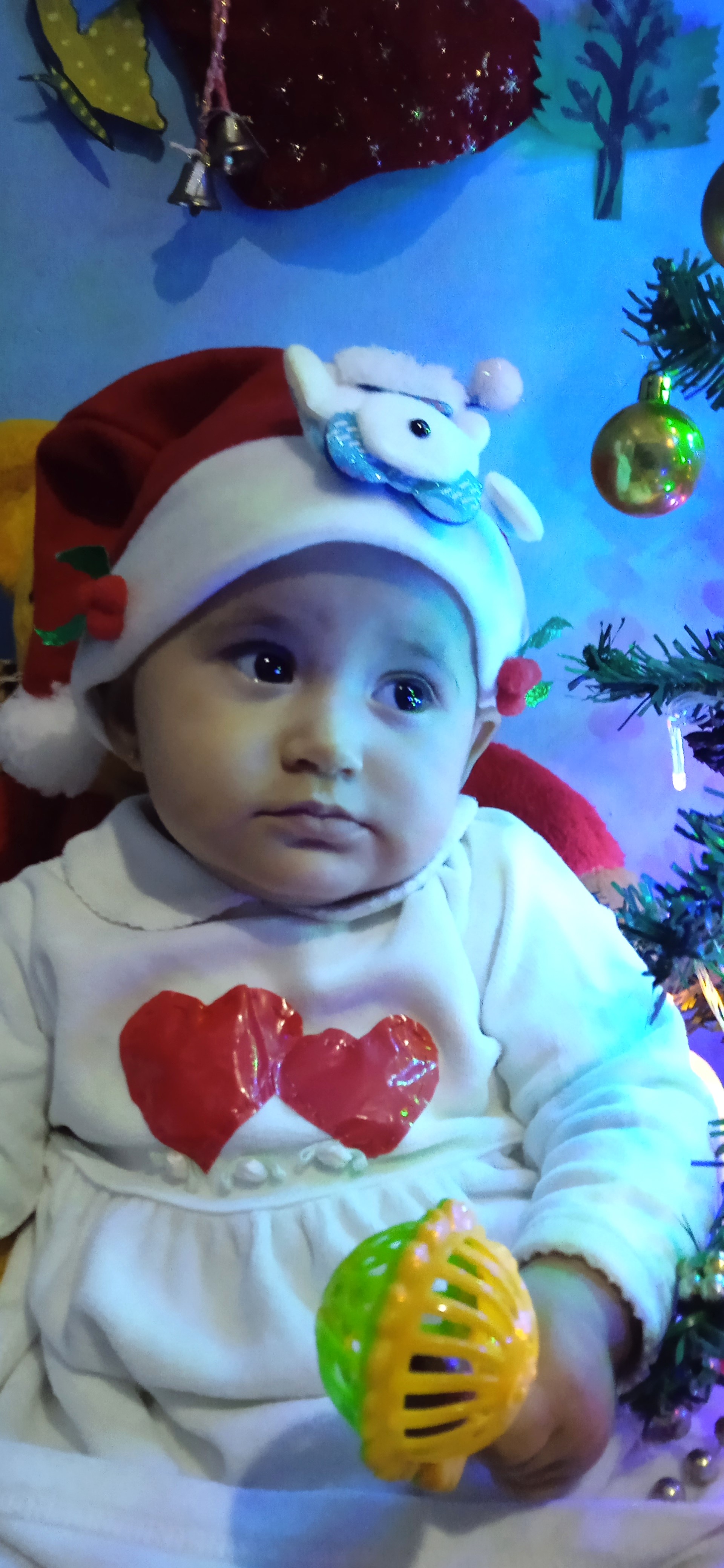  "IMG_20231208_164601.jpg"
