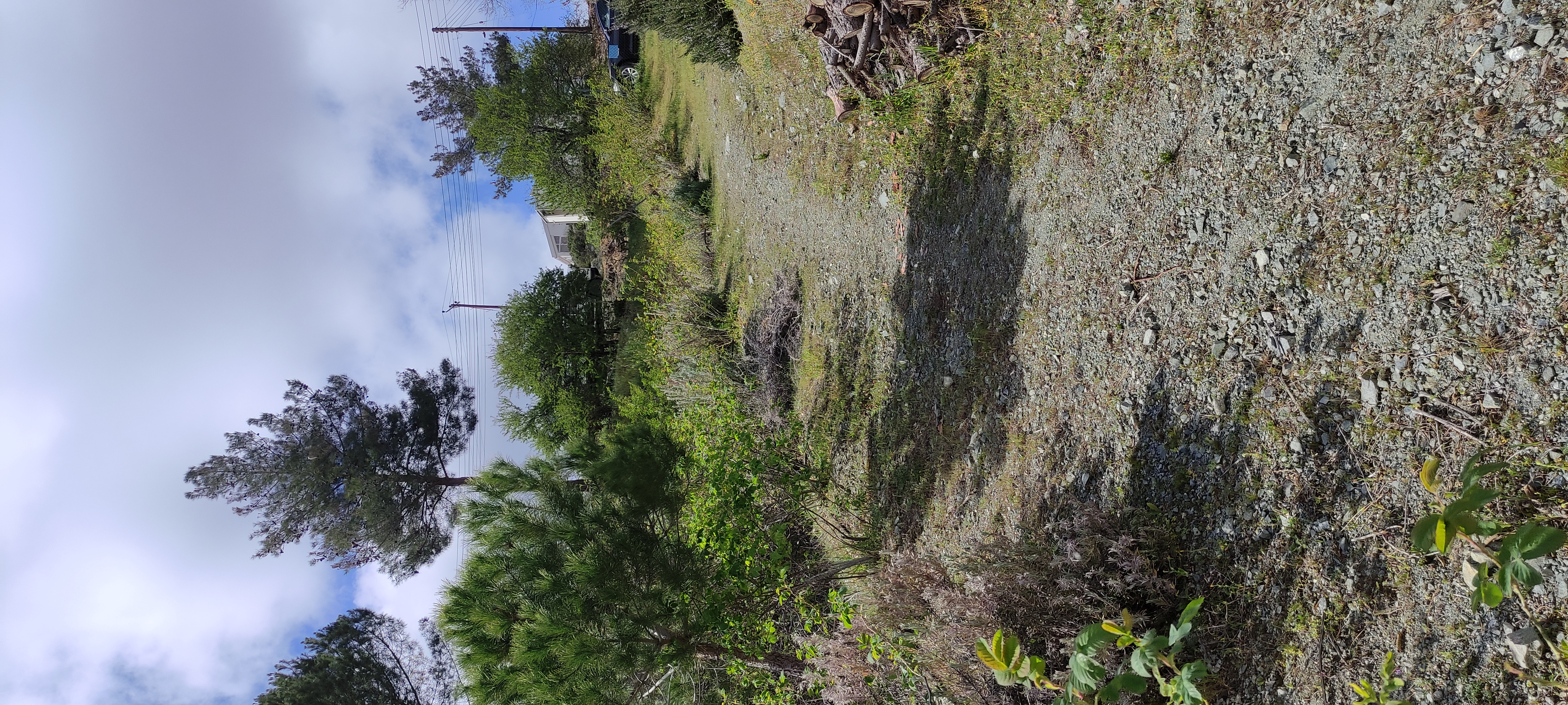 IMG_20250320_133201.jpg