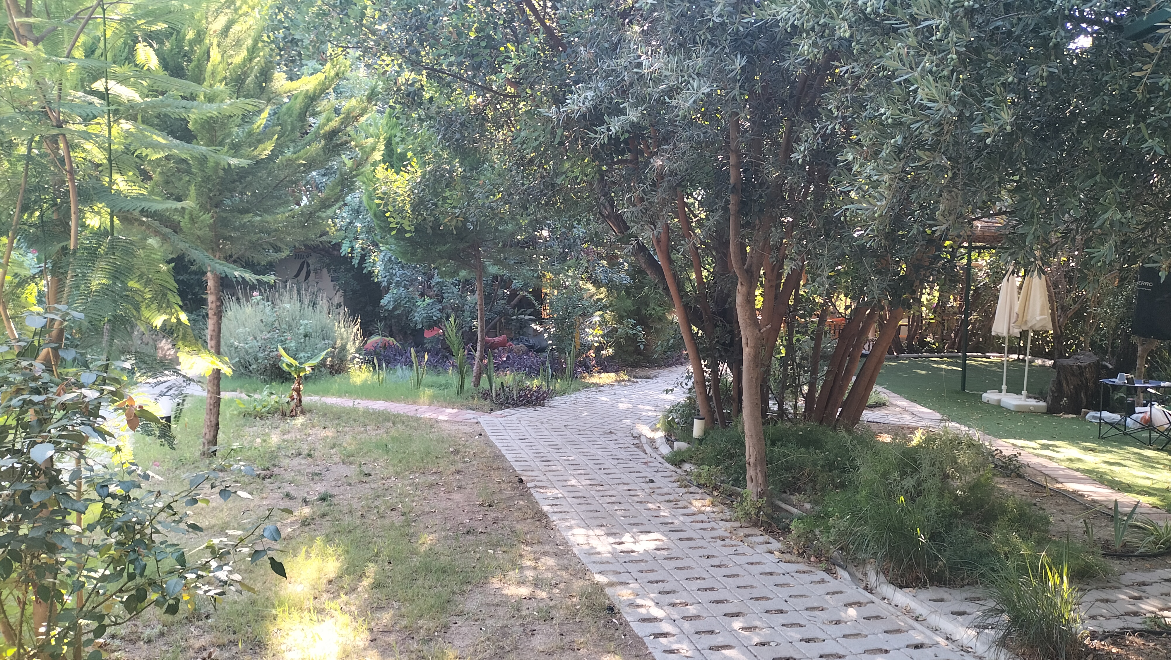IMG20250726173516.jpg