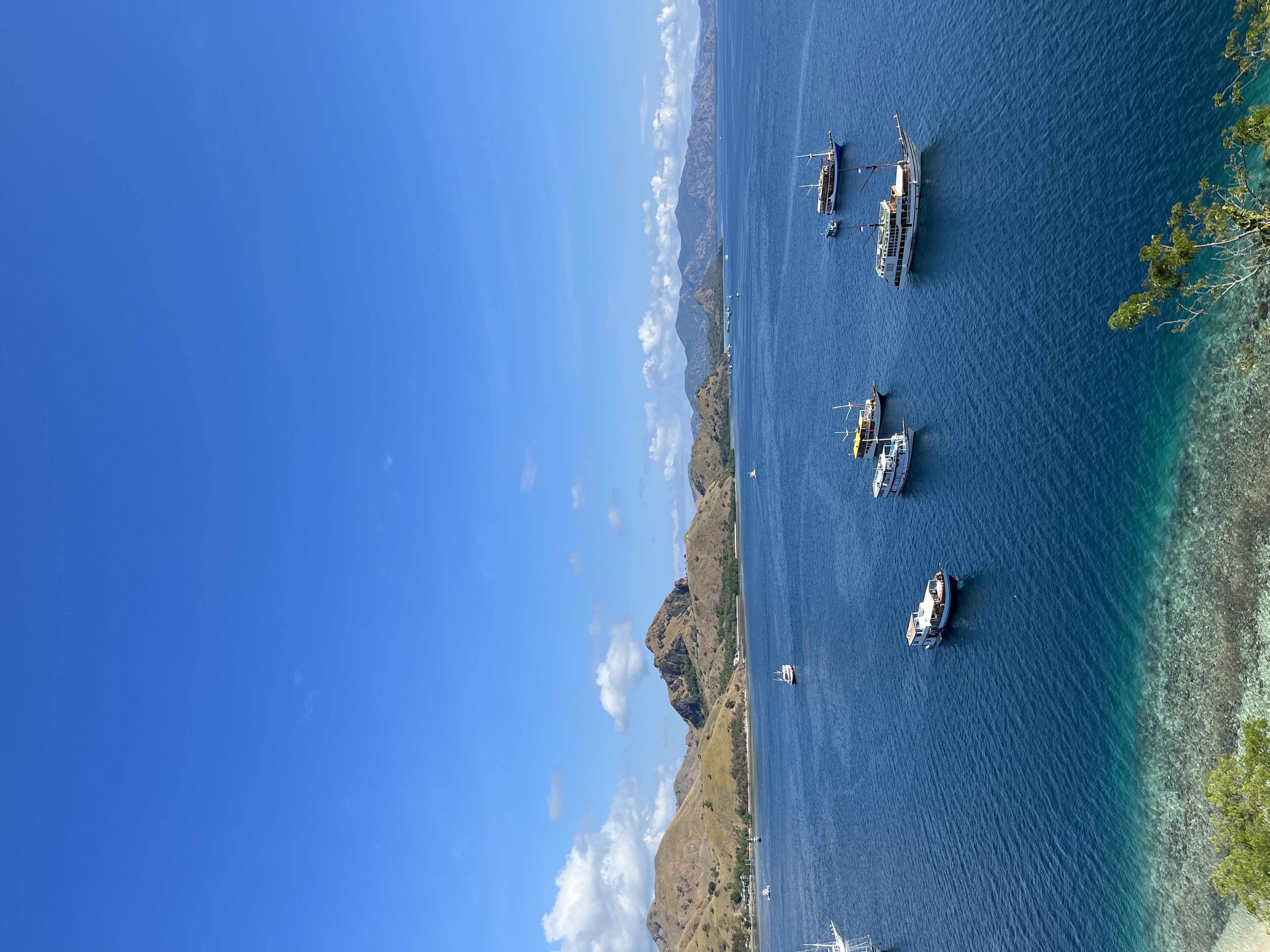 IMG_4219.jpeg