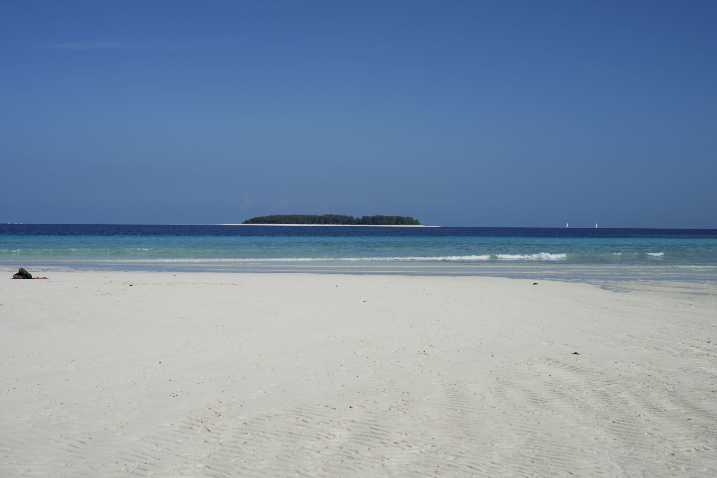 DSC_8814 v1.jpg