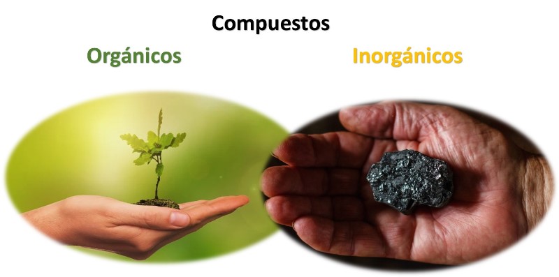 Diferencias entre compuestos orgánicos e inorgánicos — Hive