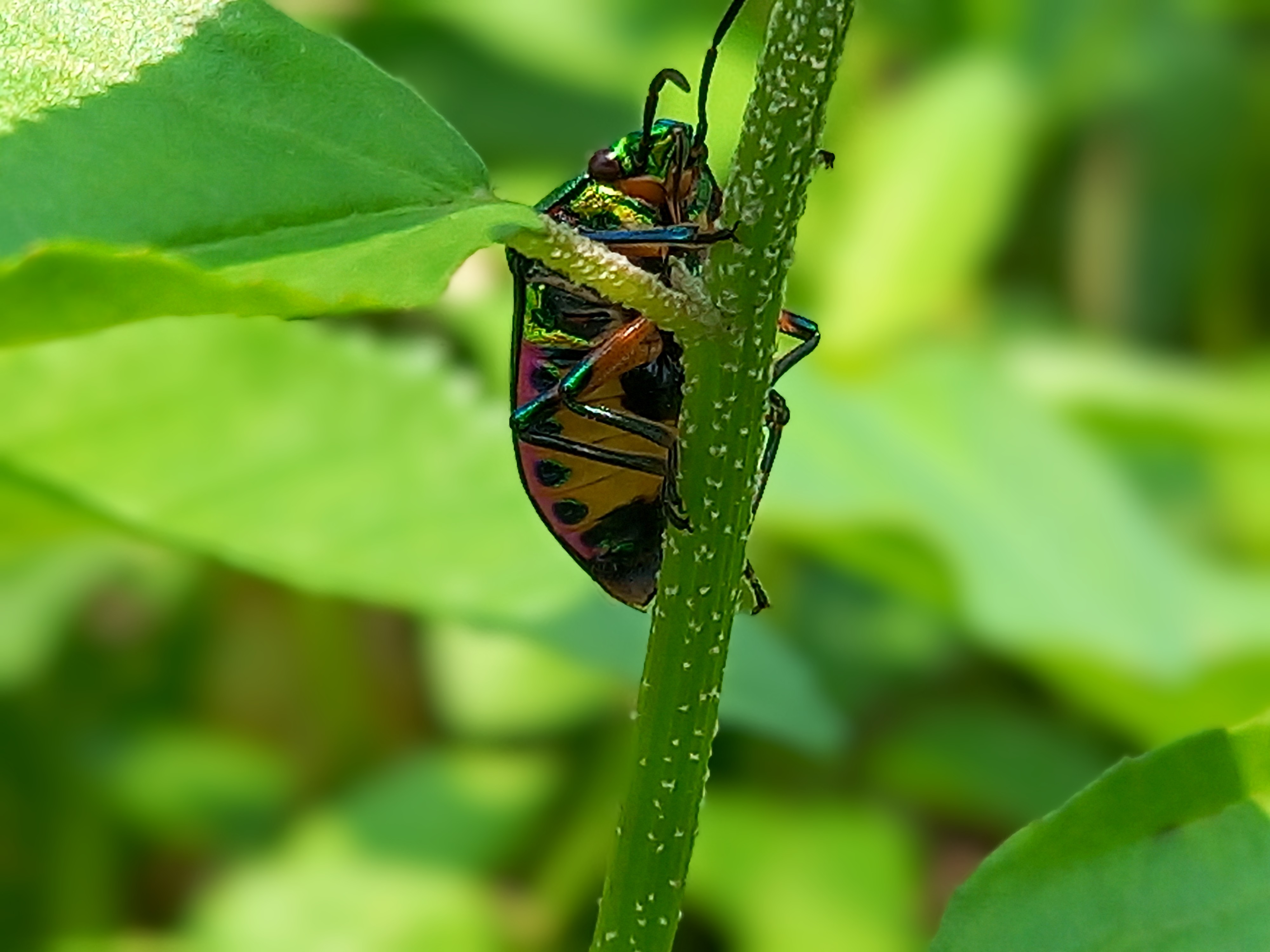 20250419_113943(0)~2.jpg