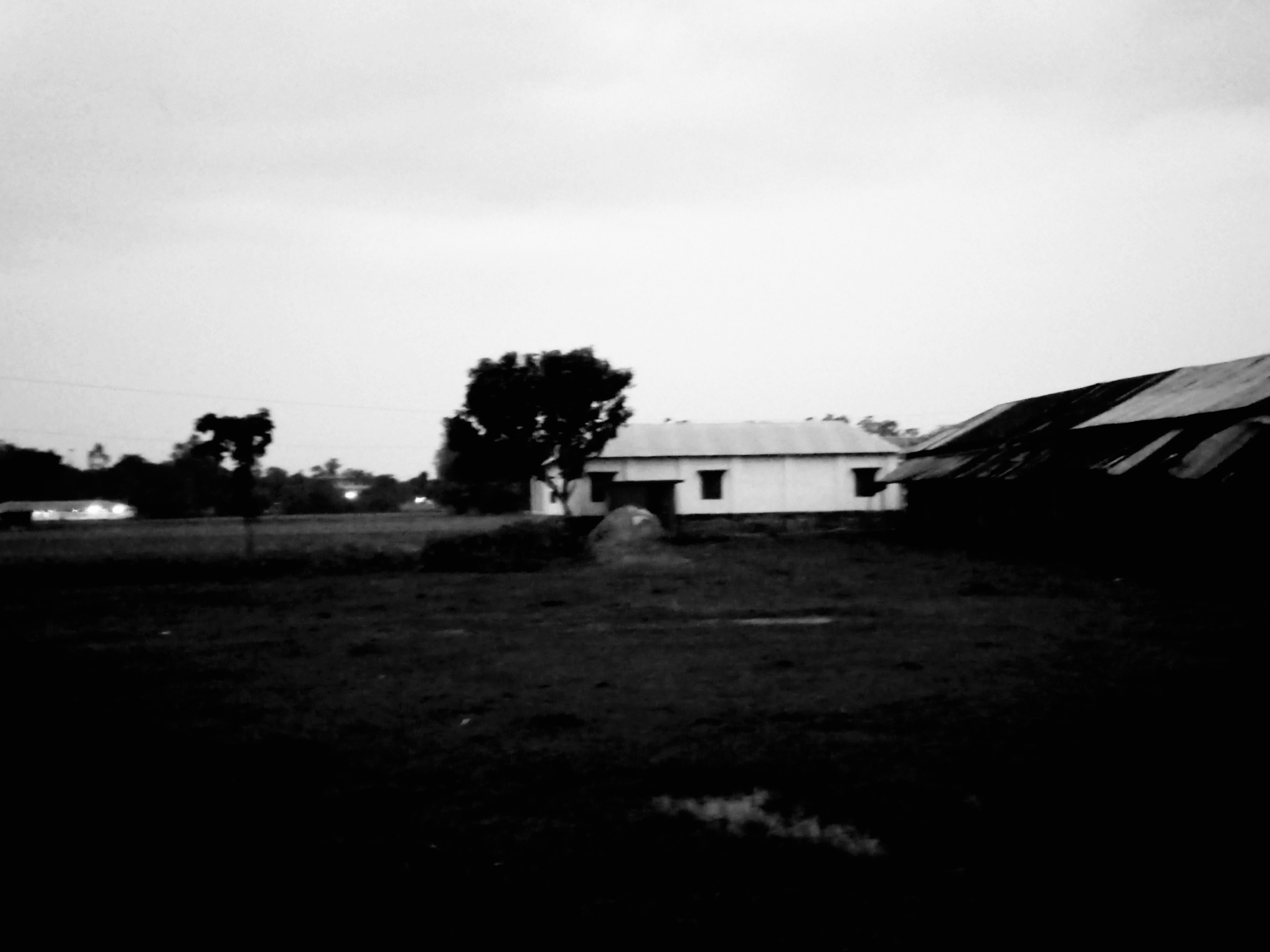 20250801_190803~4.jpg