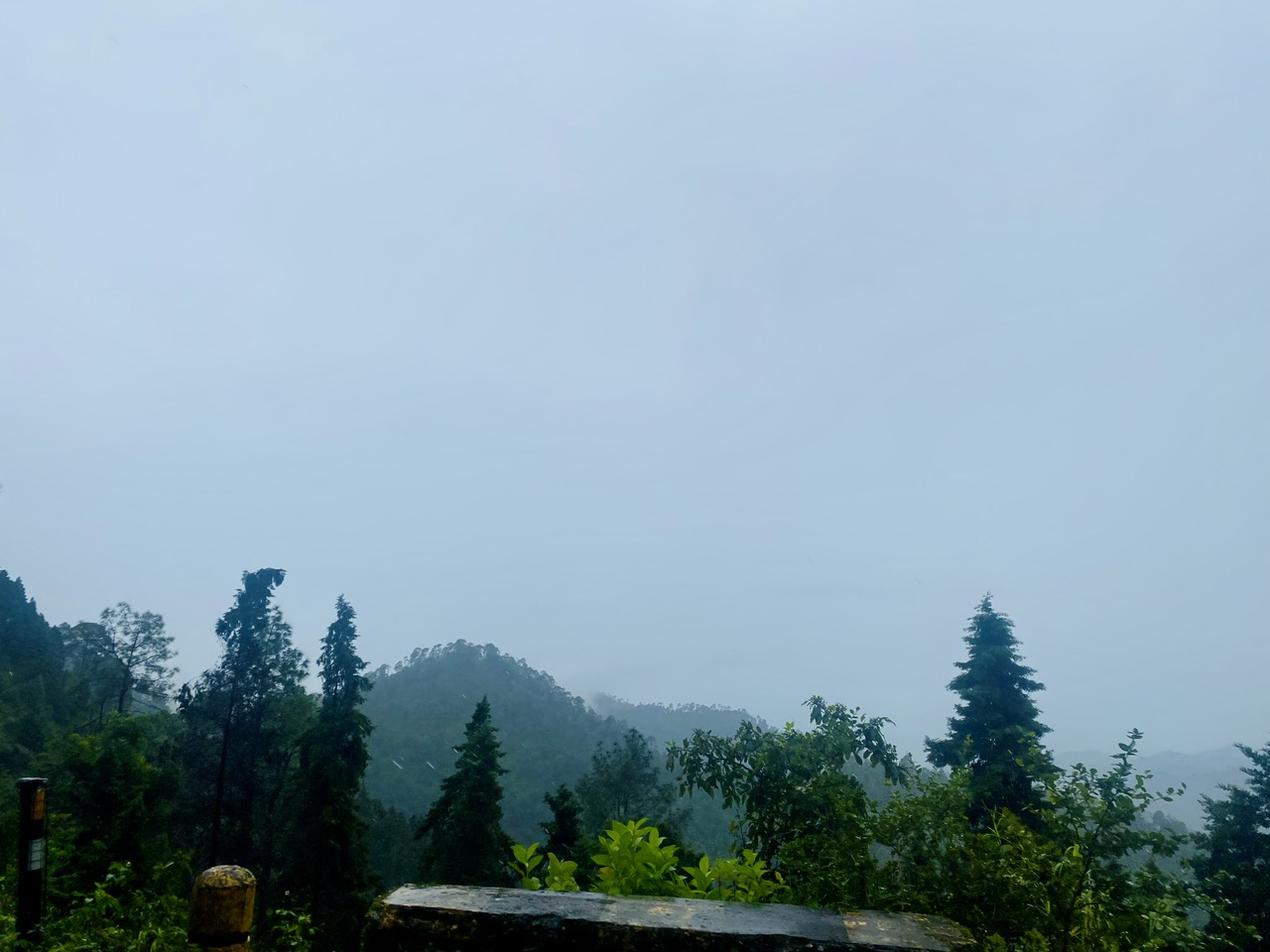 IMG_0704.jpeg