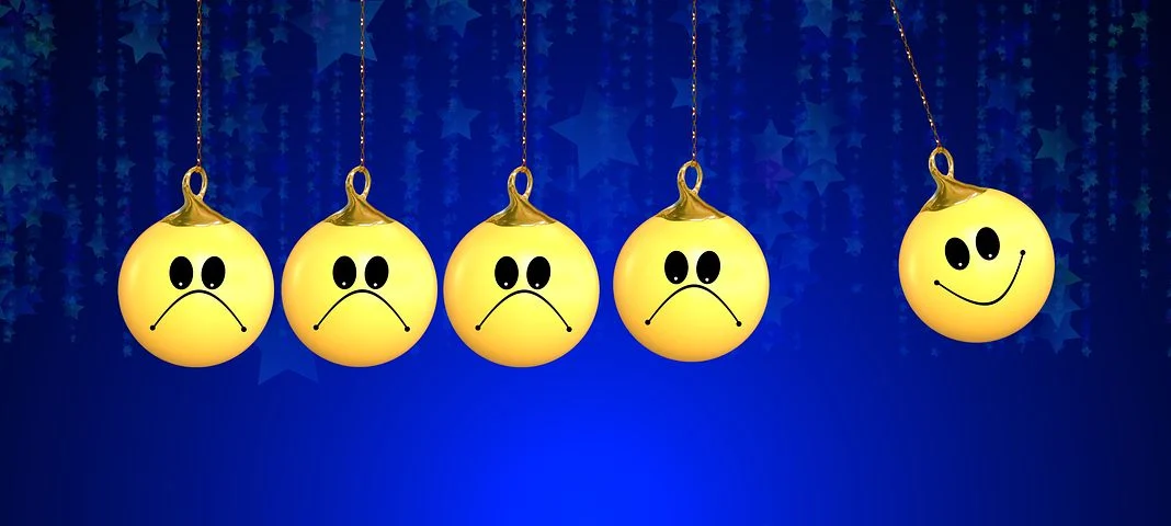 happiness-2411755__480.webp