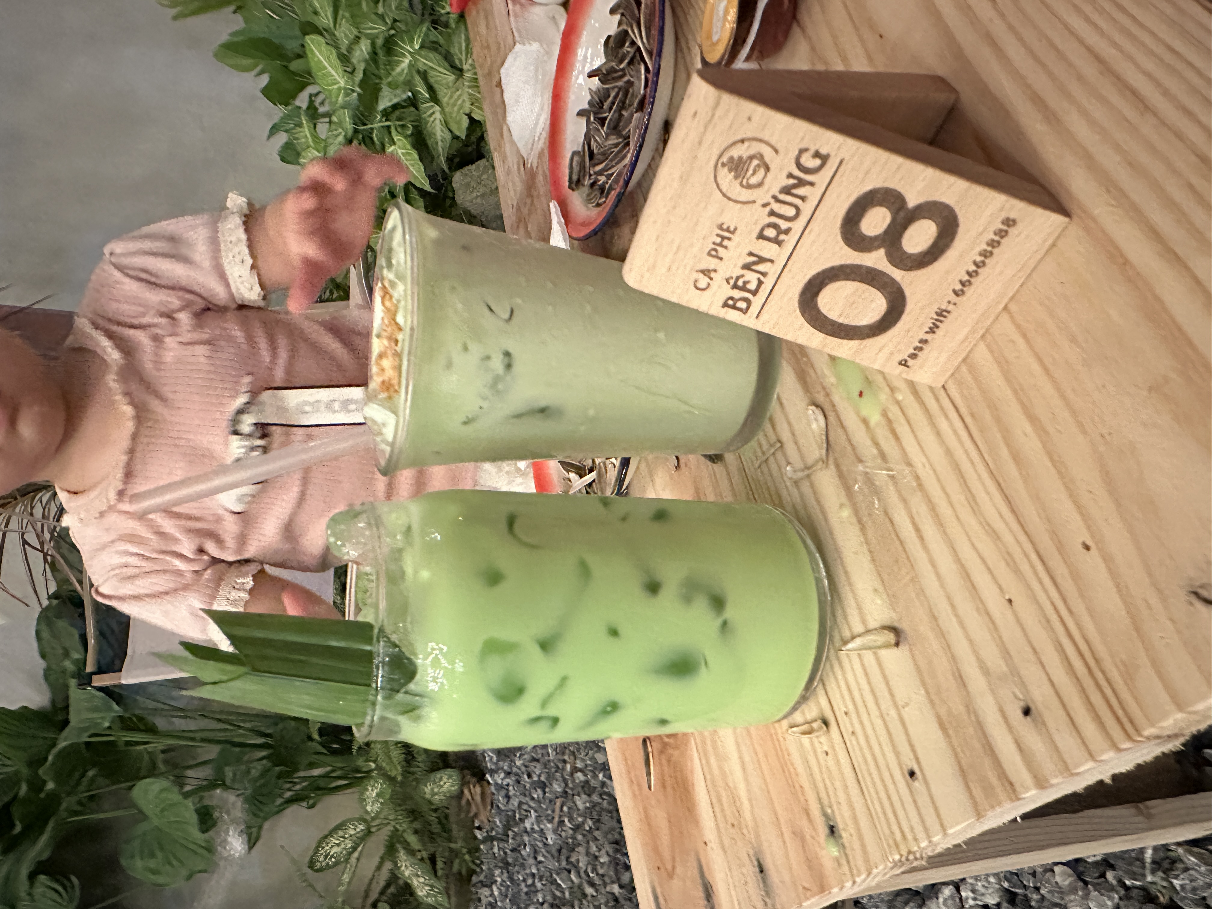 IMG_2095.jpeg