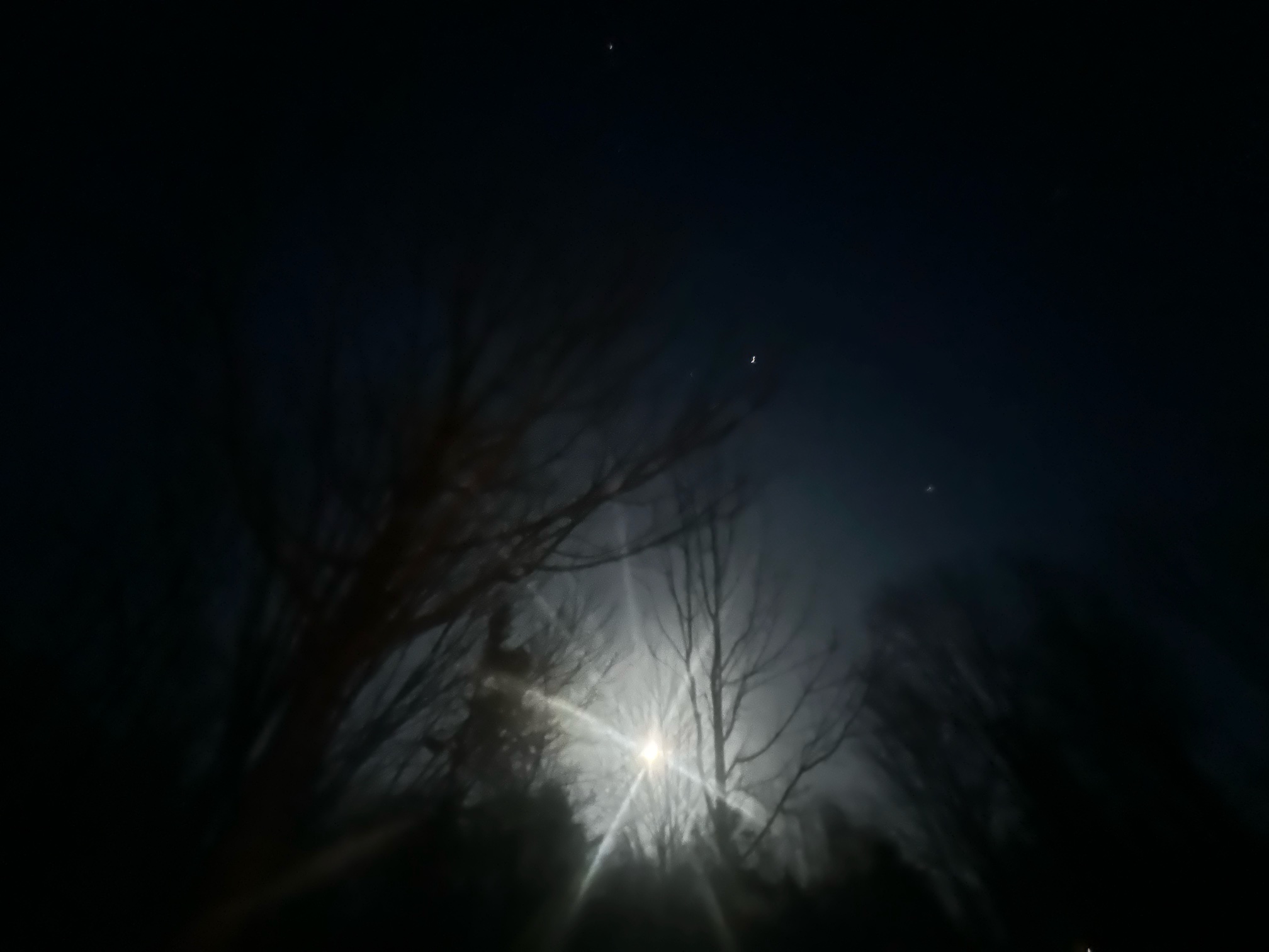 IMG_0993.jpeg