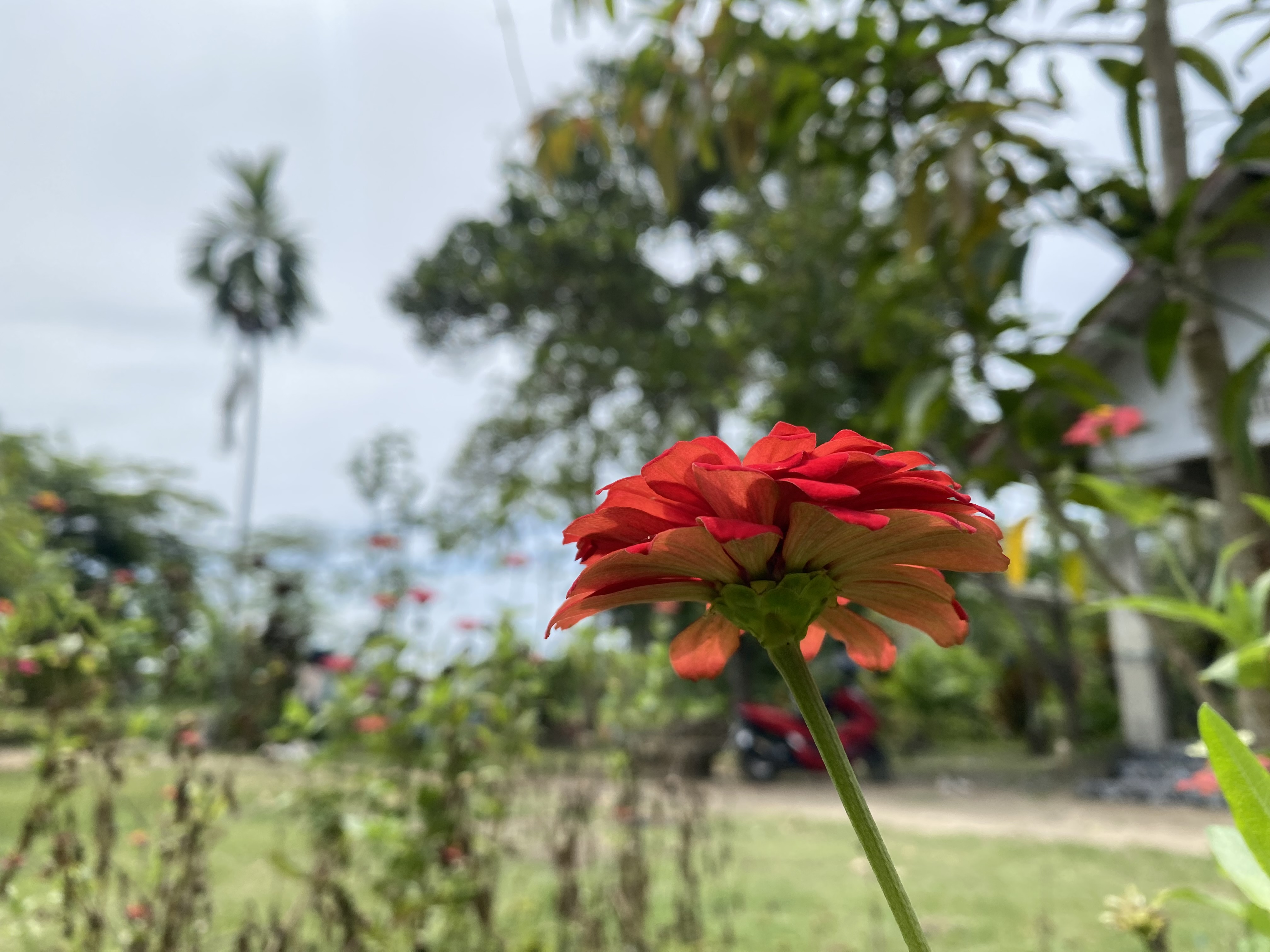 IMG_4141.jpeg