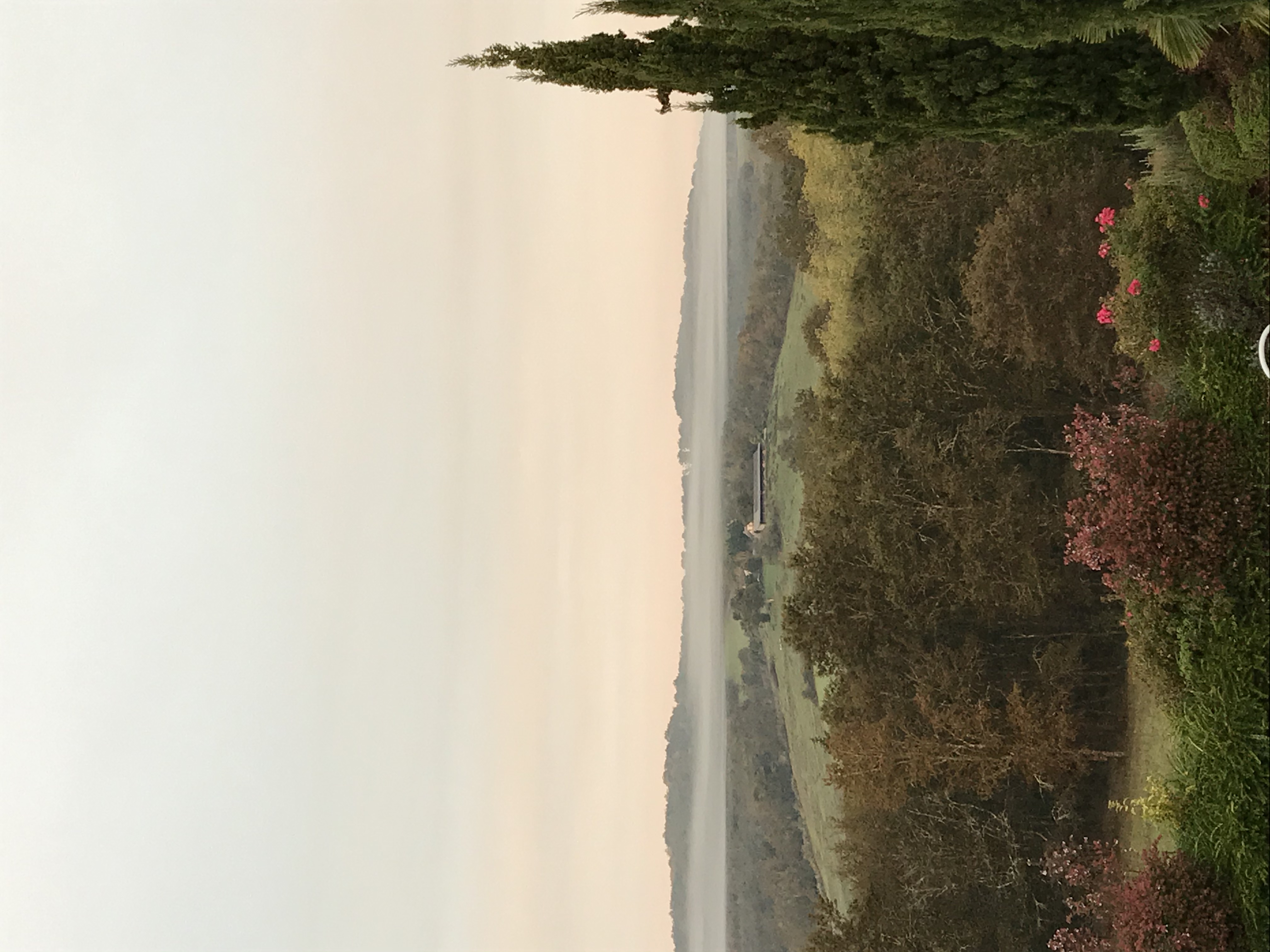 IMG_5928.jpeg