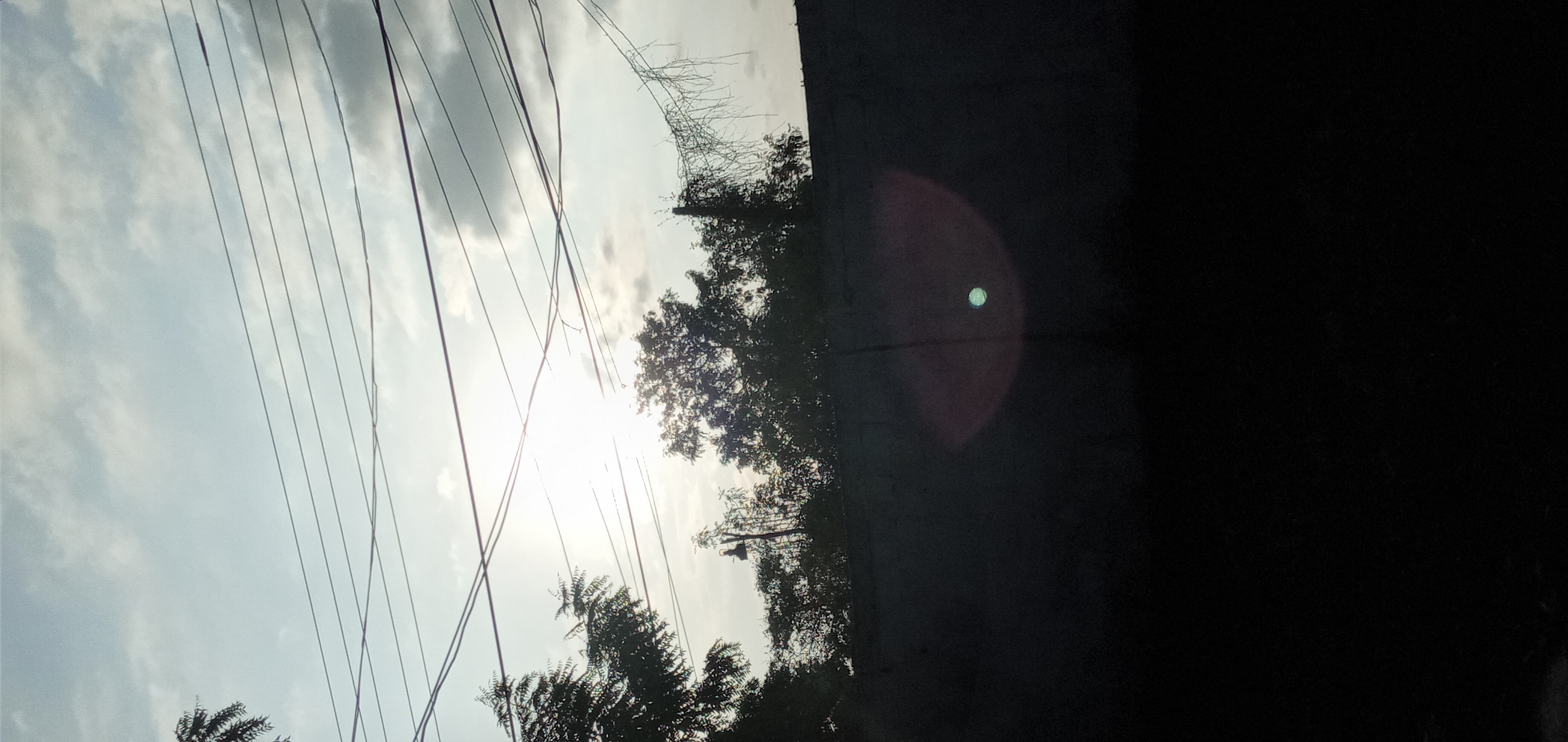20231027_070104.jpg