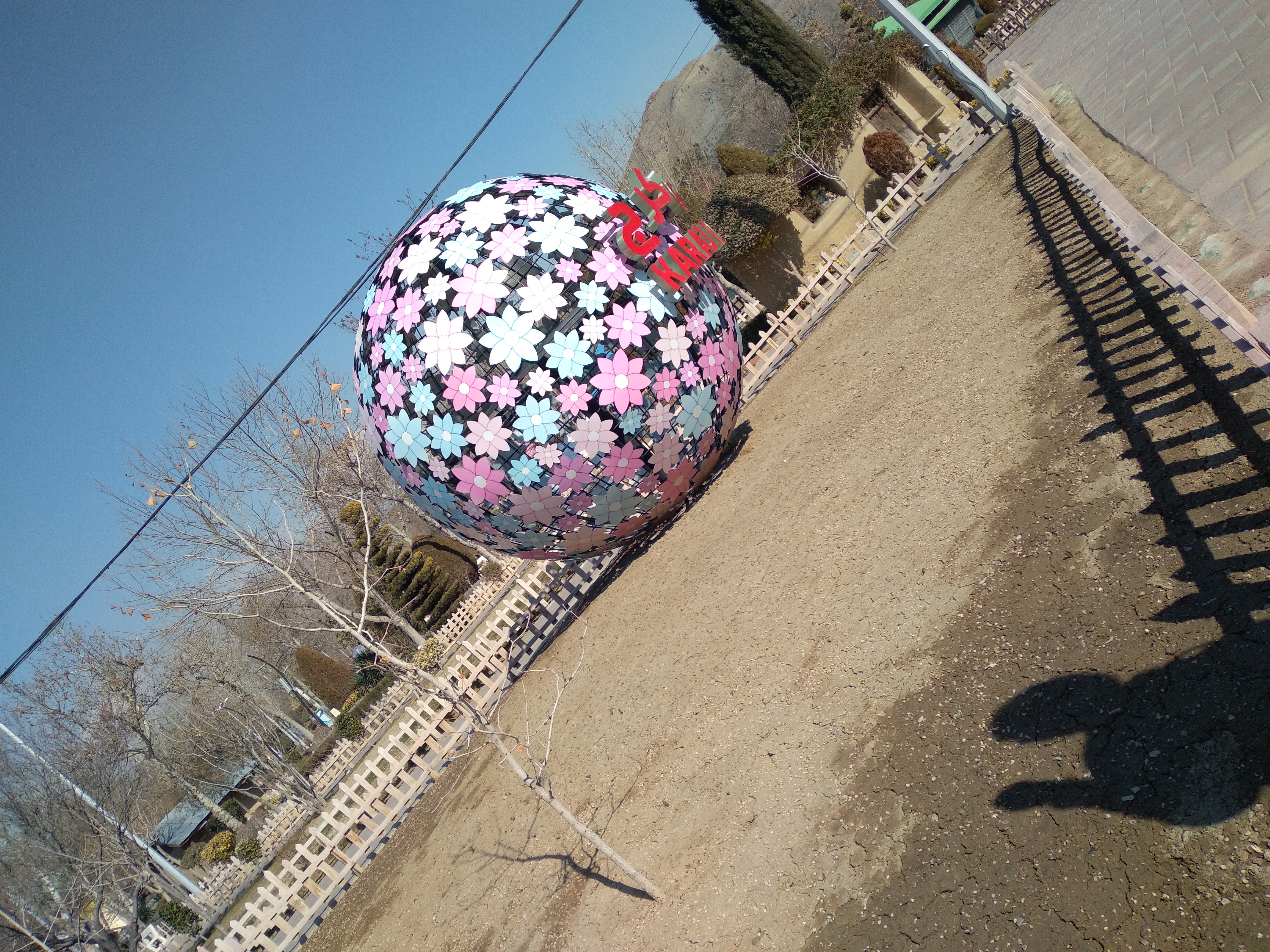 20250218_134807.jpg
