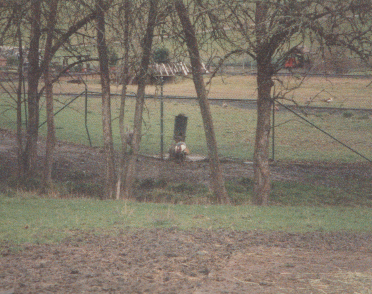 1992-12-26 - Saturday - Wildlife Safari Trip, Marilyn, Crystal-06.png