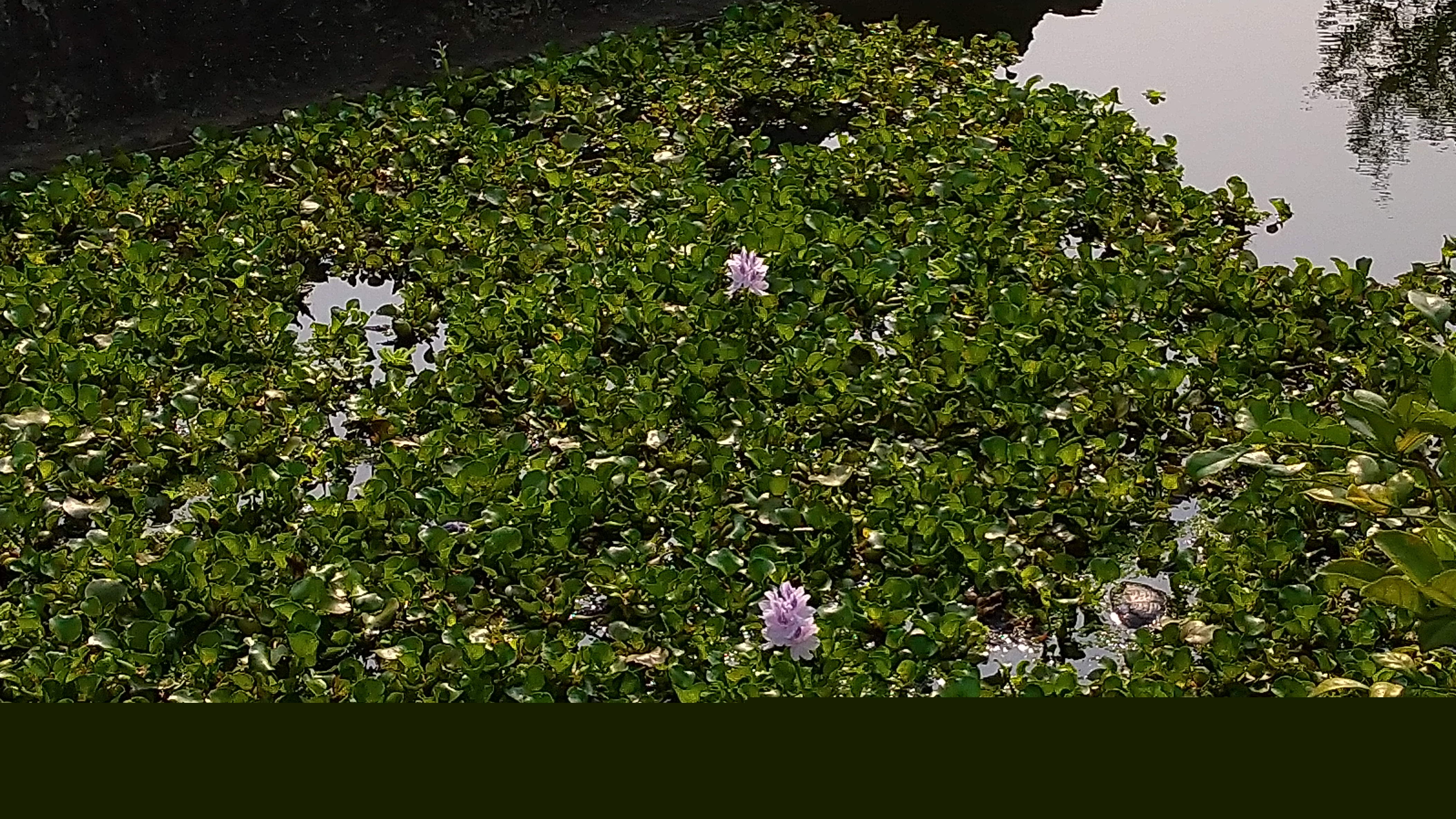 DSC_7640.JPG