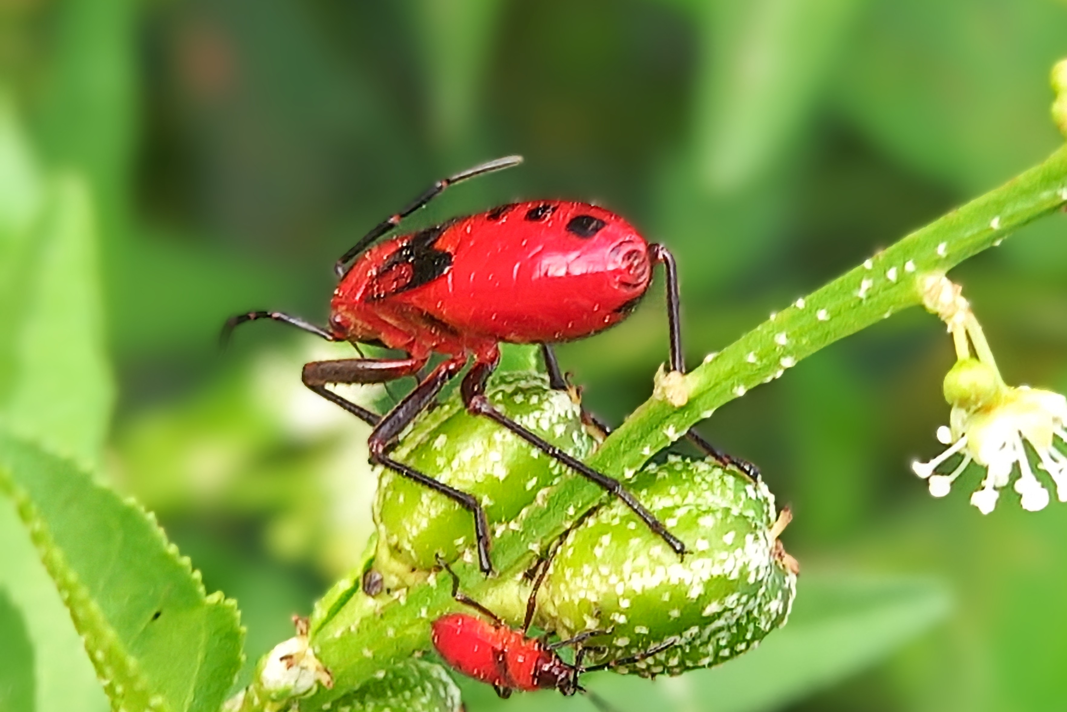 20250725_071439~2.jpg