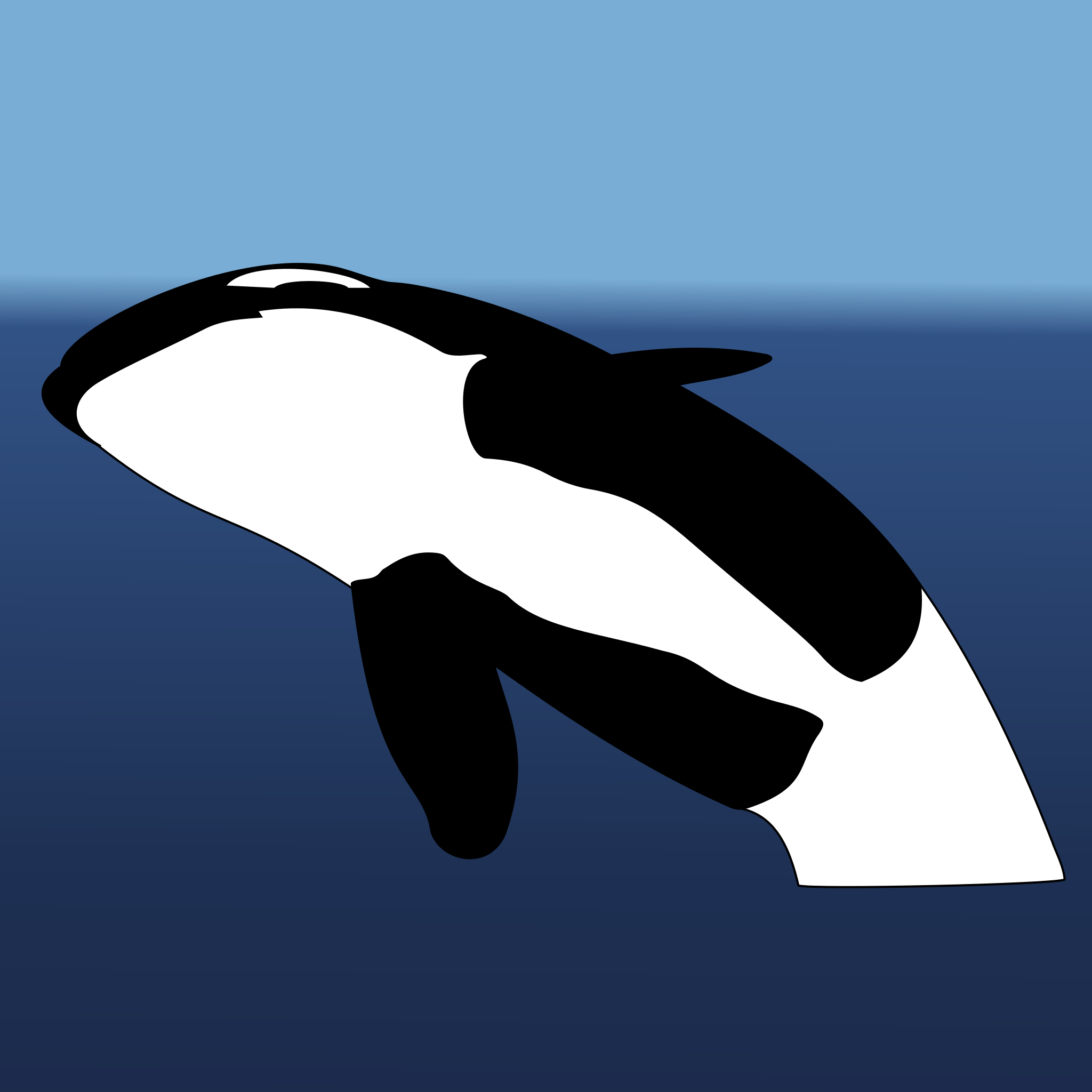 FIN.png