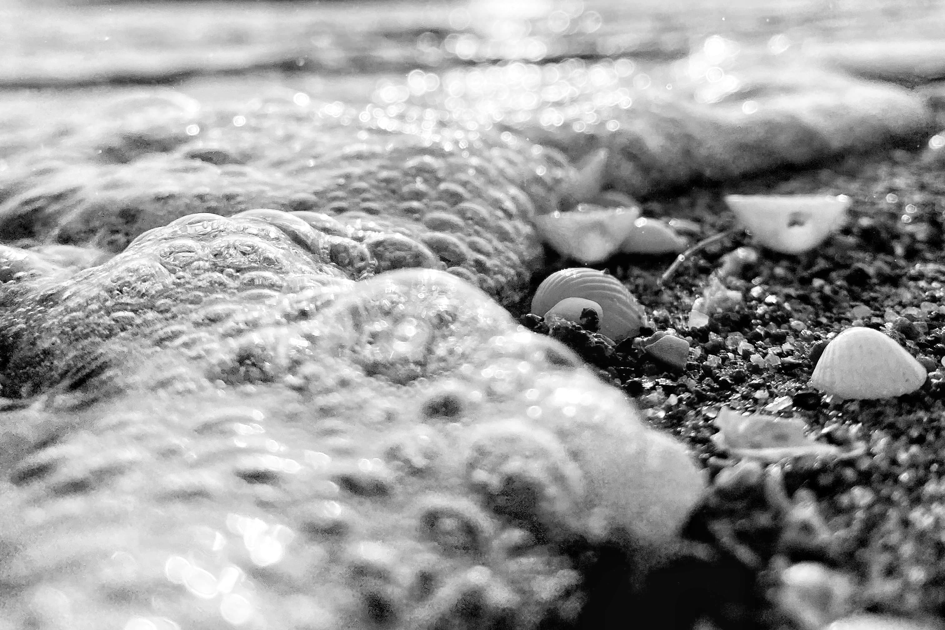 image00021 (1)-min-01-min.jpeg