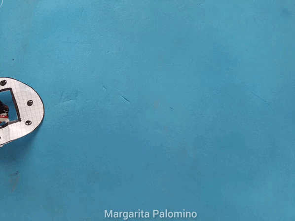 1000017822.gif