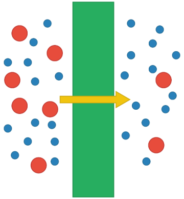 Schematic_of_size-based_membrane.svg.png